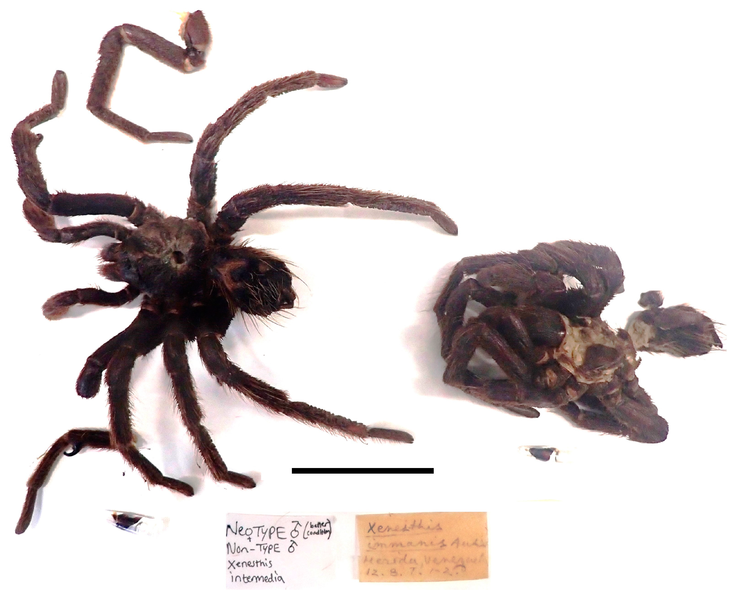 Taxonomy 03 00029 g013