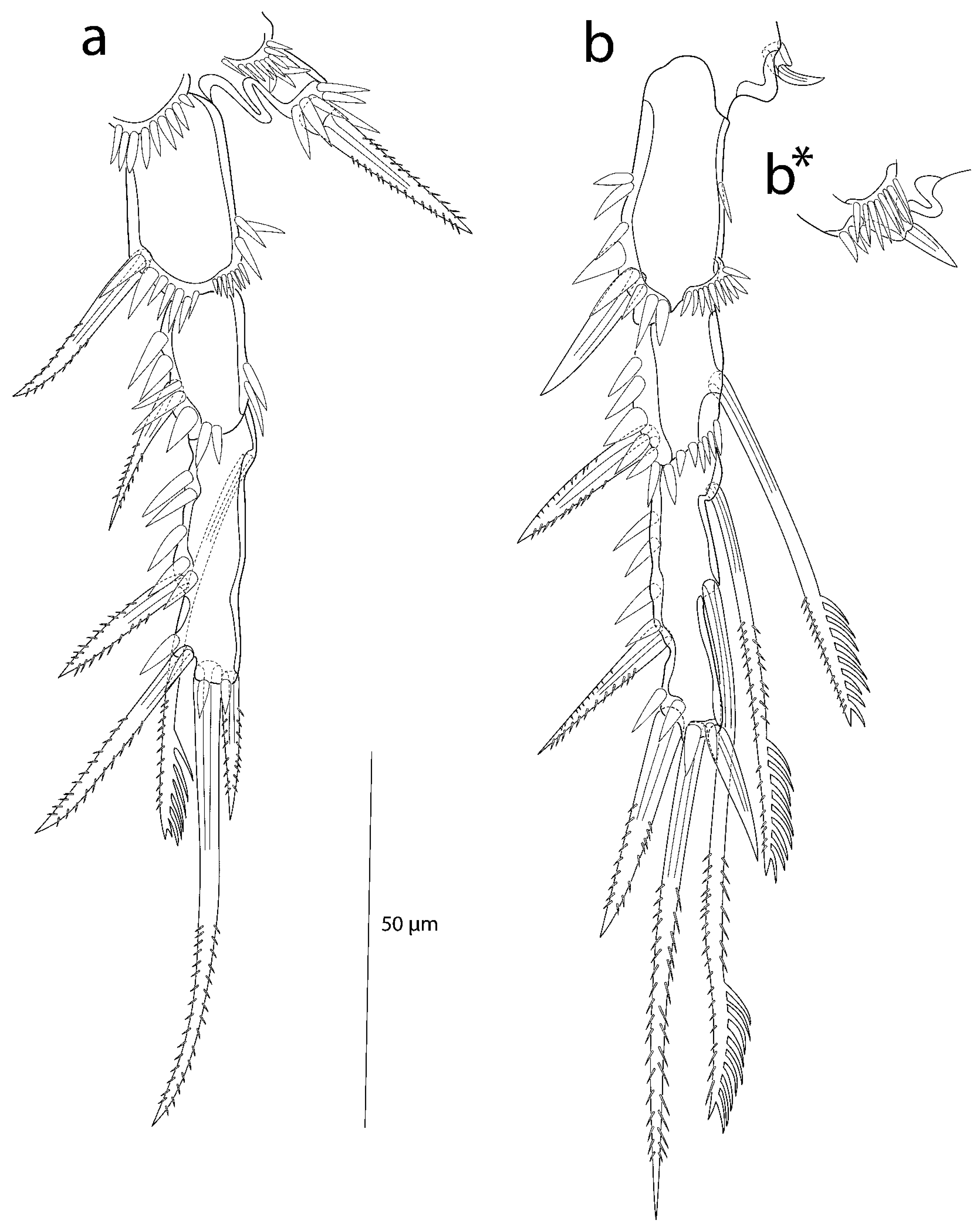 Taxonomy 03 00030 g009 Taxonomy 03 00030 g009