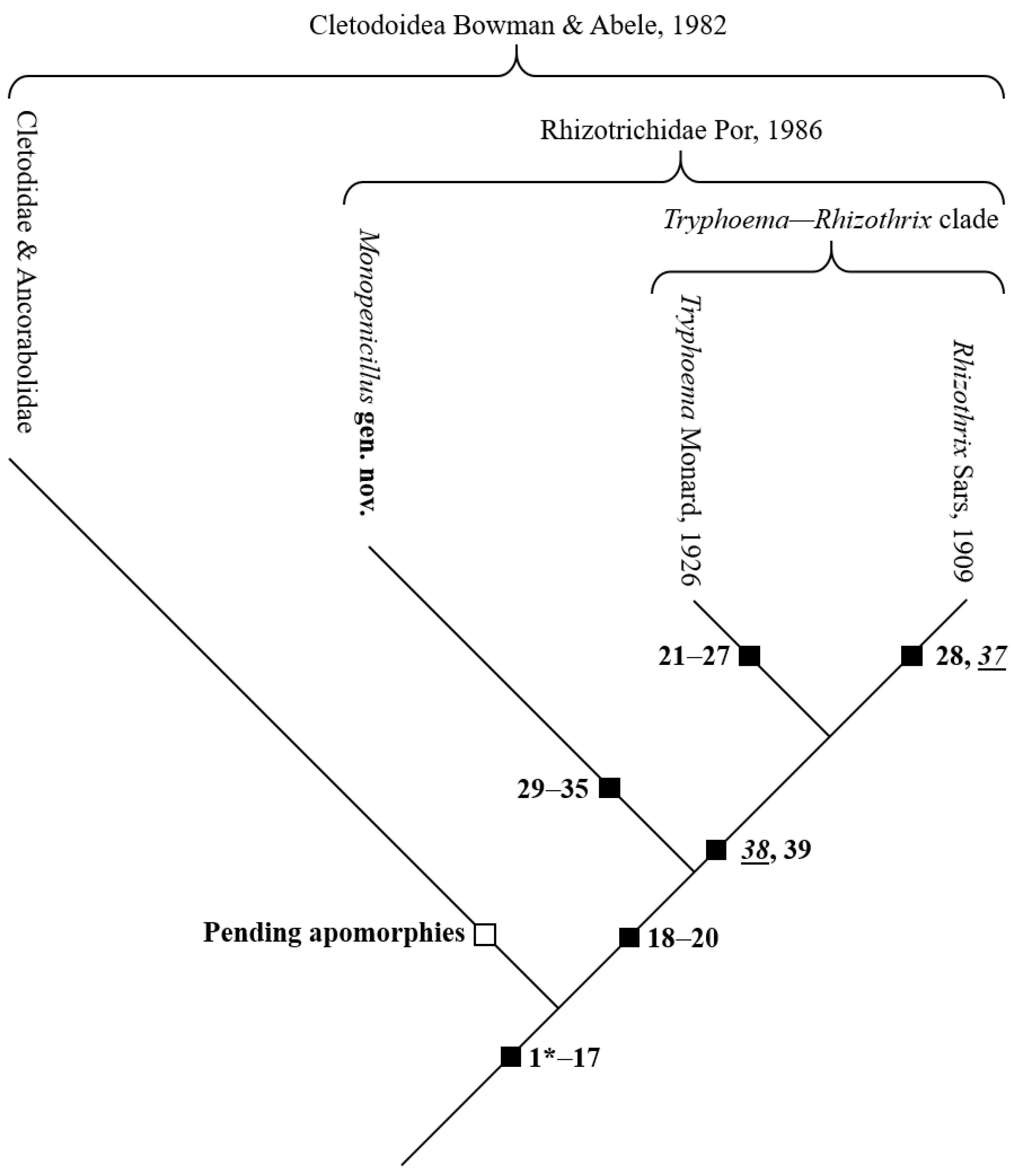 Taxonomy 03 00030 g011 Taxonomy 03 00030 g011