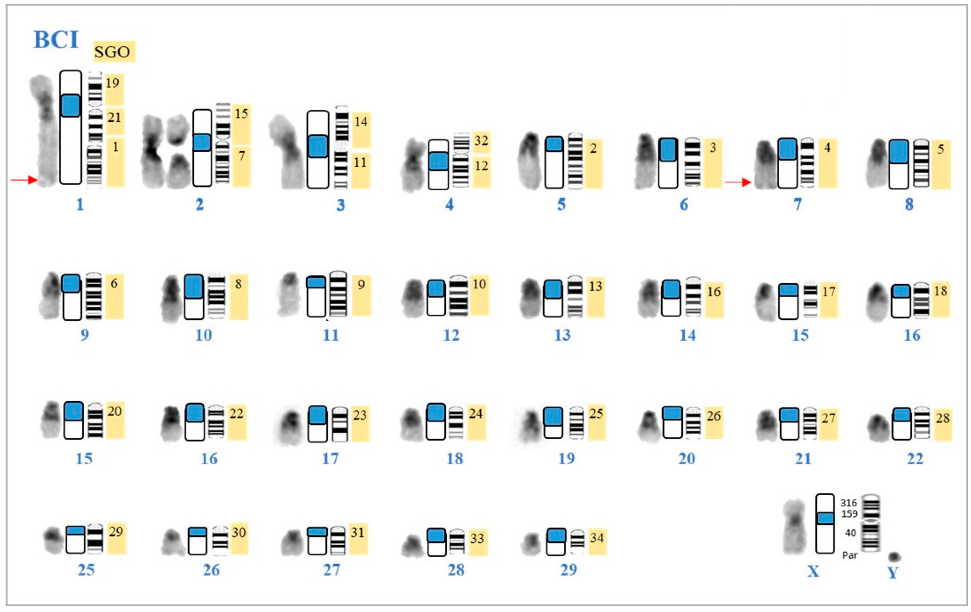 Taxonomy 04 00002 g004