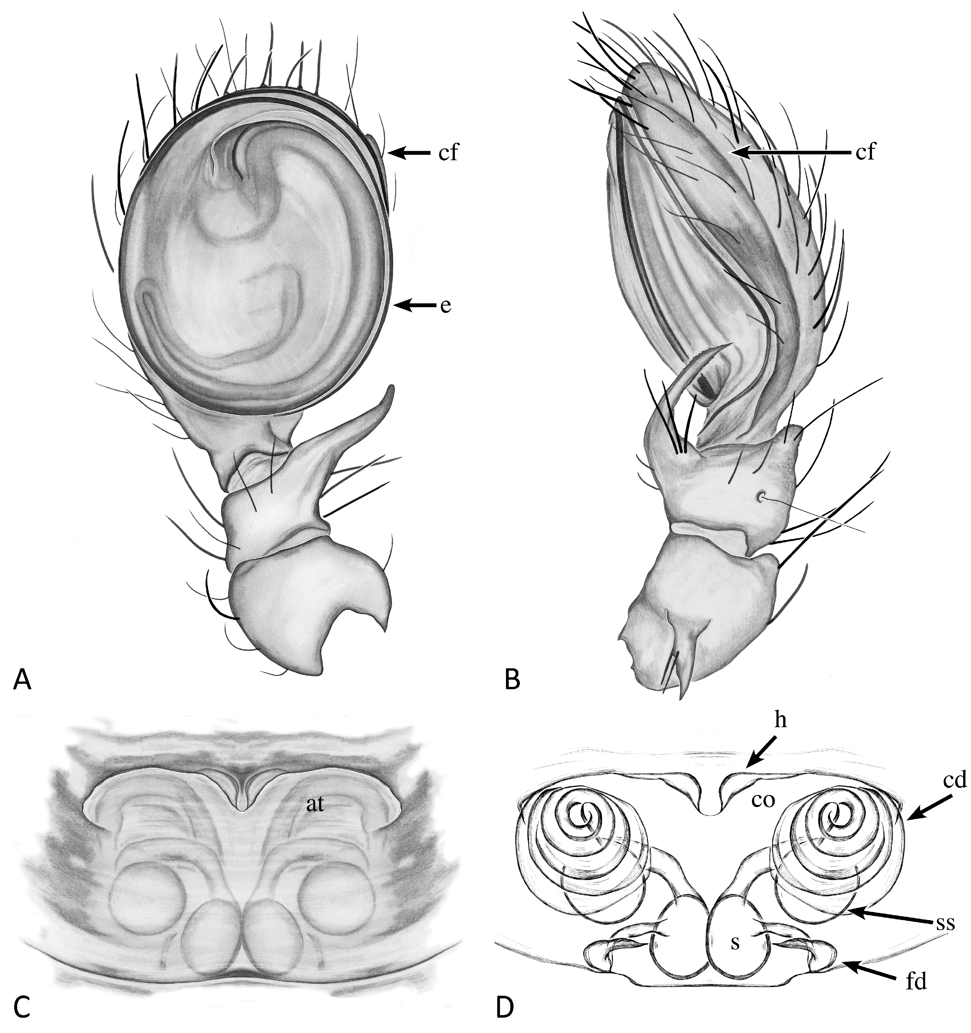 Taxonomy 04 00005 g020