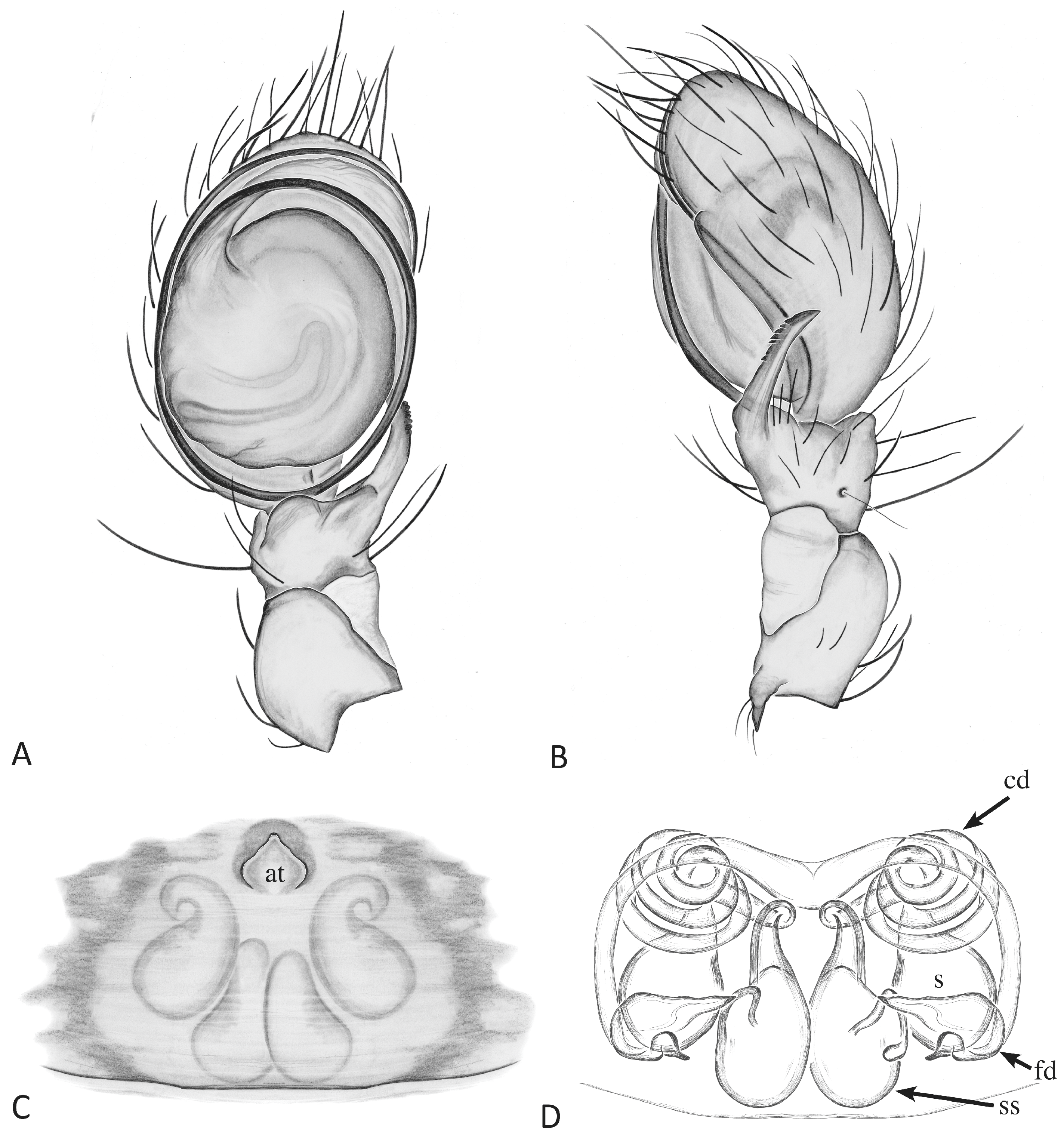 Taxonomy 04 00005 g022