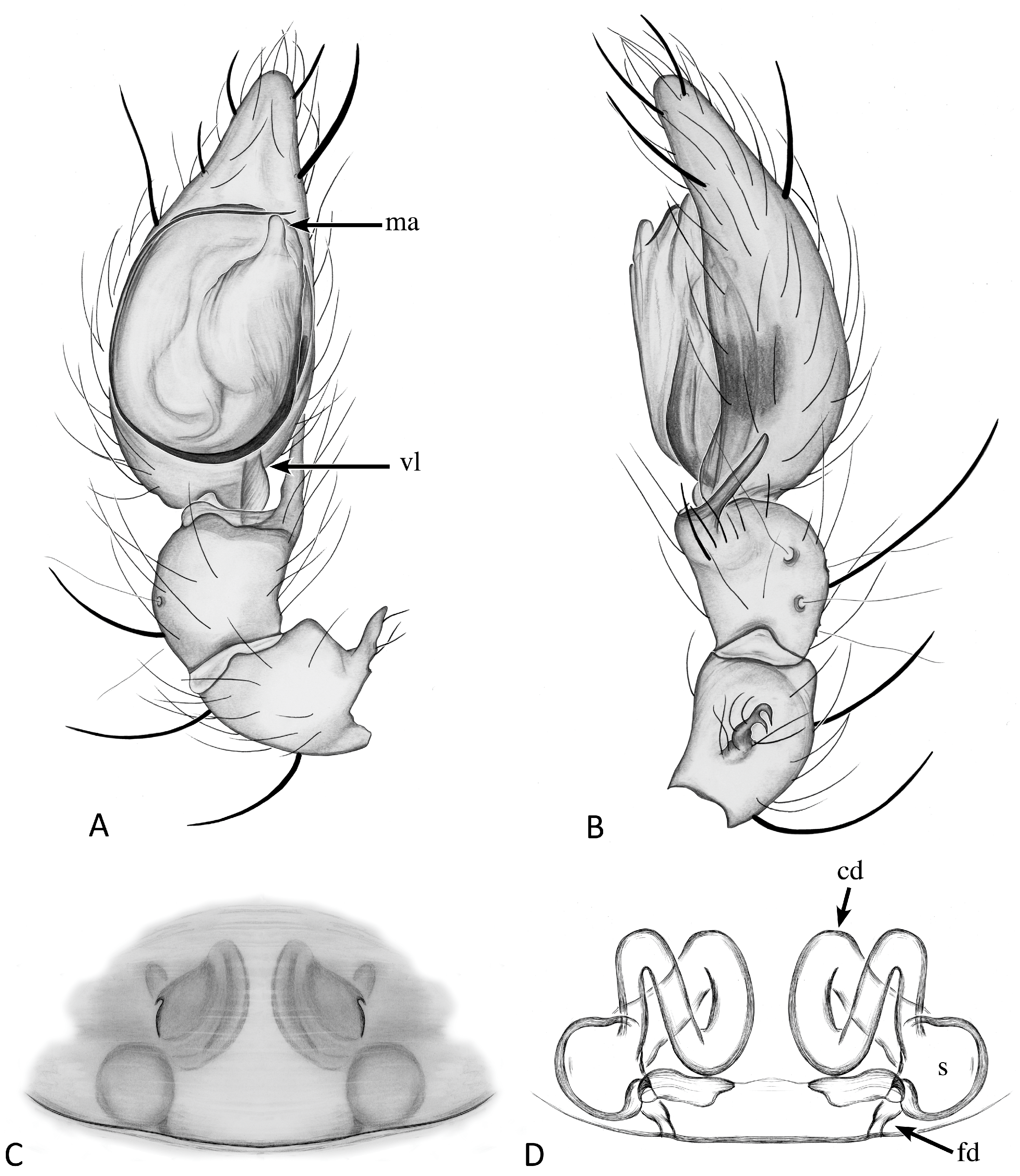 Taxonomy 04 00005 g025
