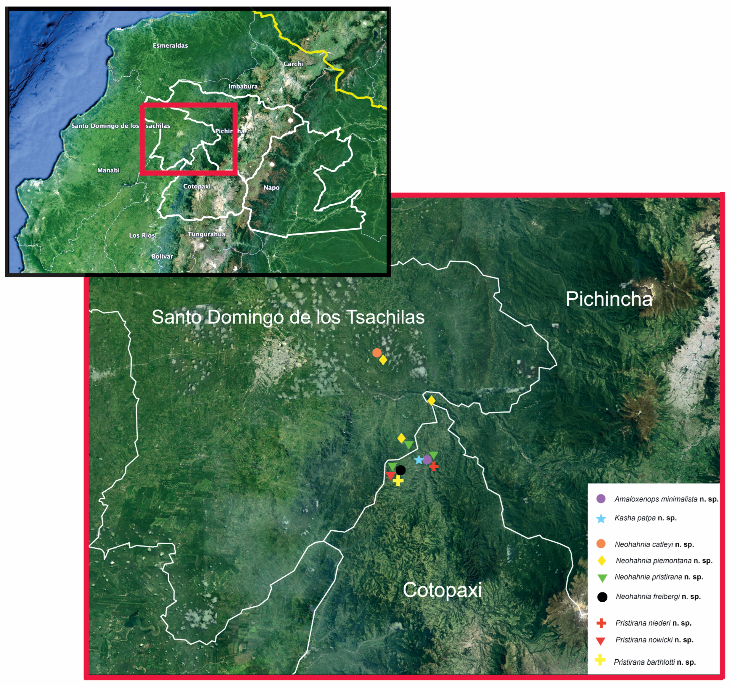 Taxonomy 04 00005 sch002