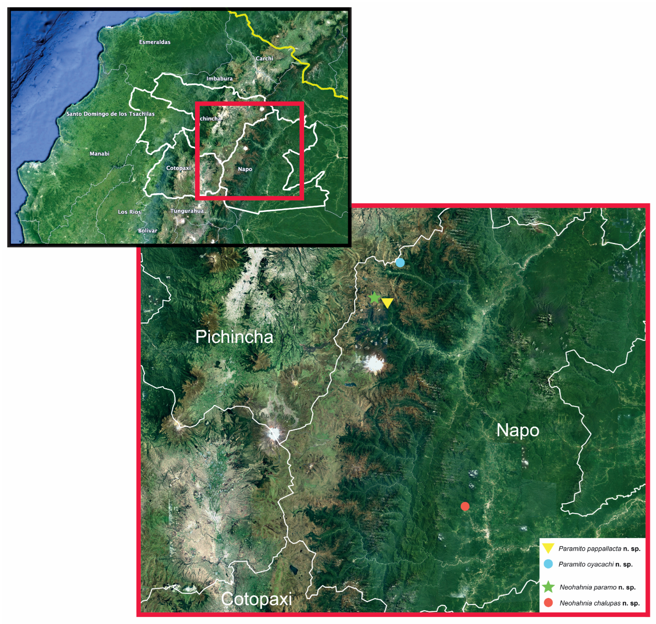 Taxonomy 04 00005 sch003