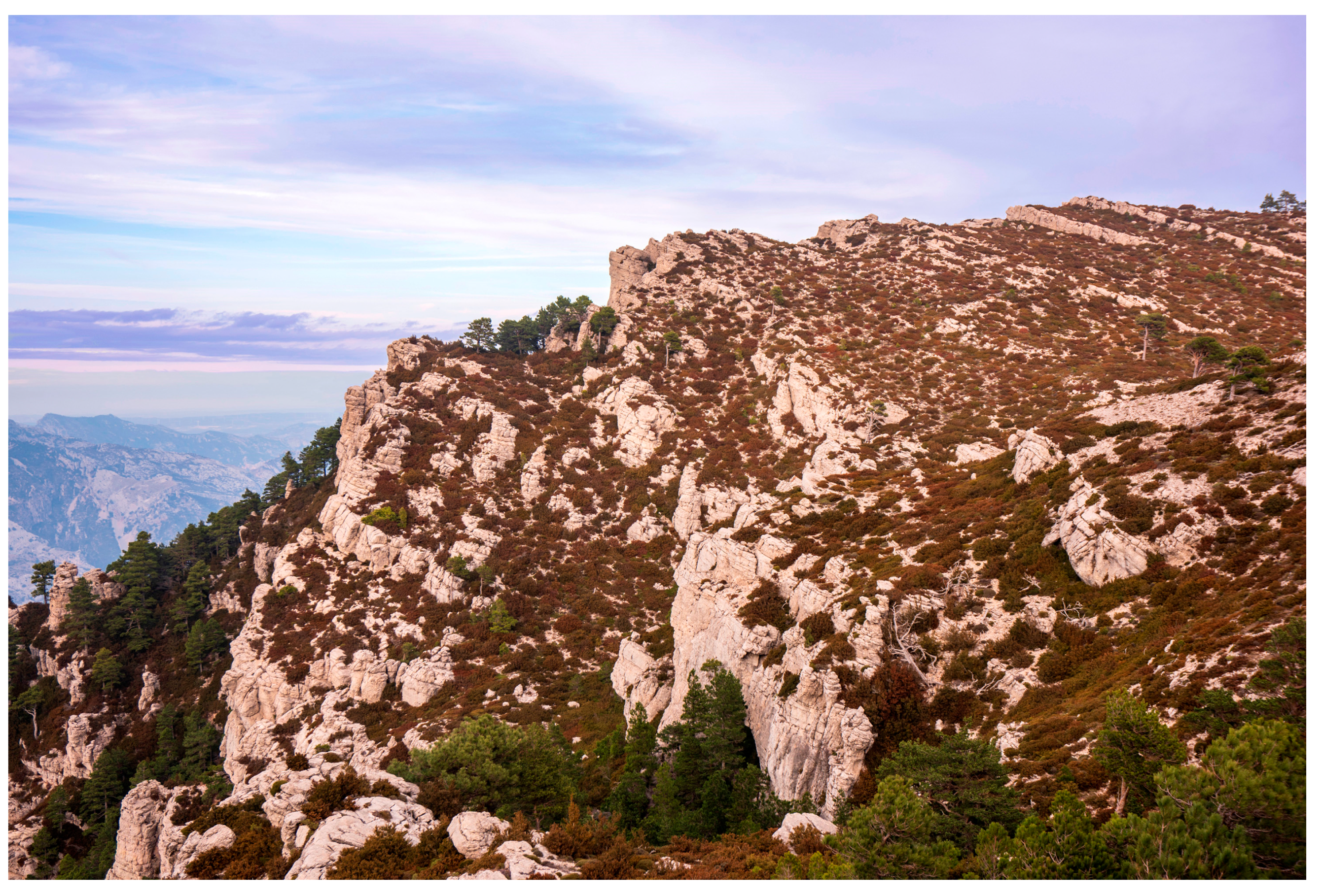 Taxonomy 04 00006 g004 Taxonomy 04 00006 g004