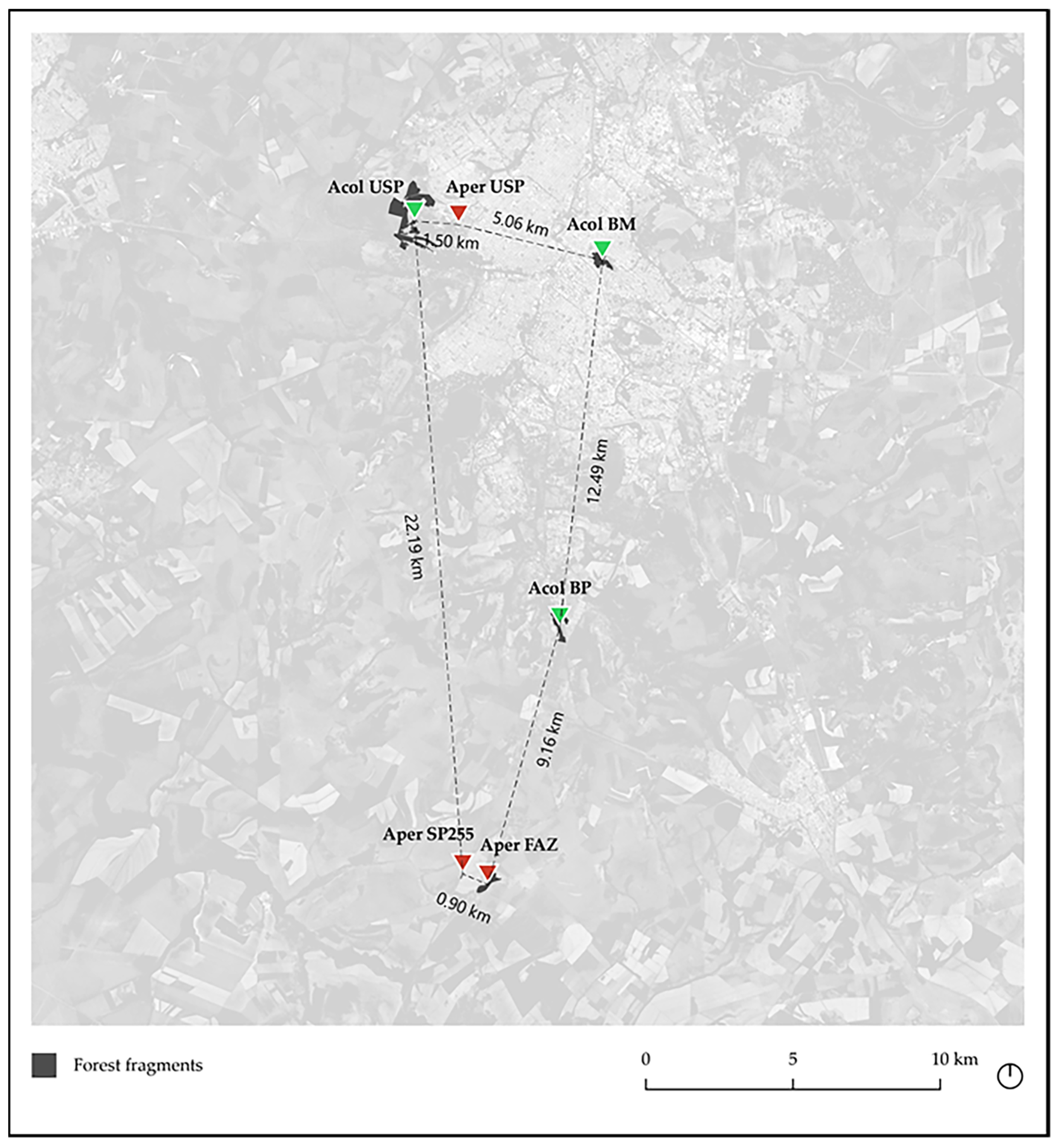 Taxonomy 04 00008 g002 Taxonomy 04 00008 g002