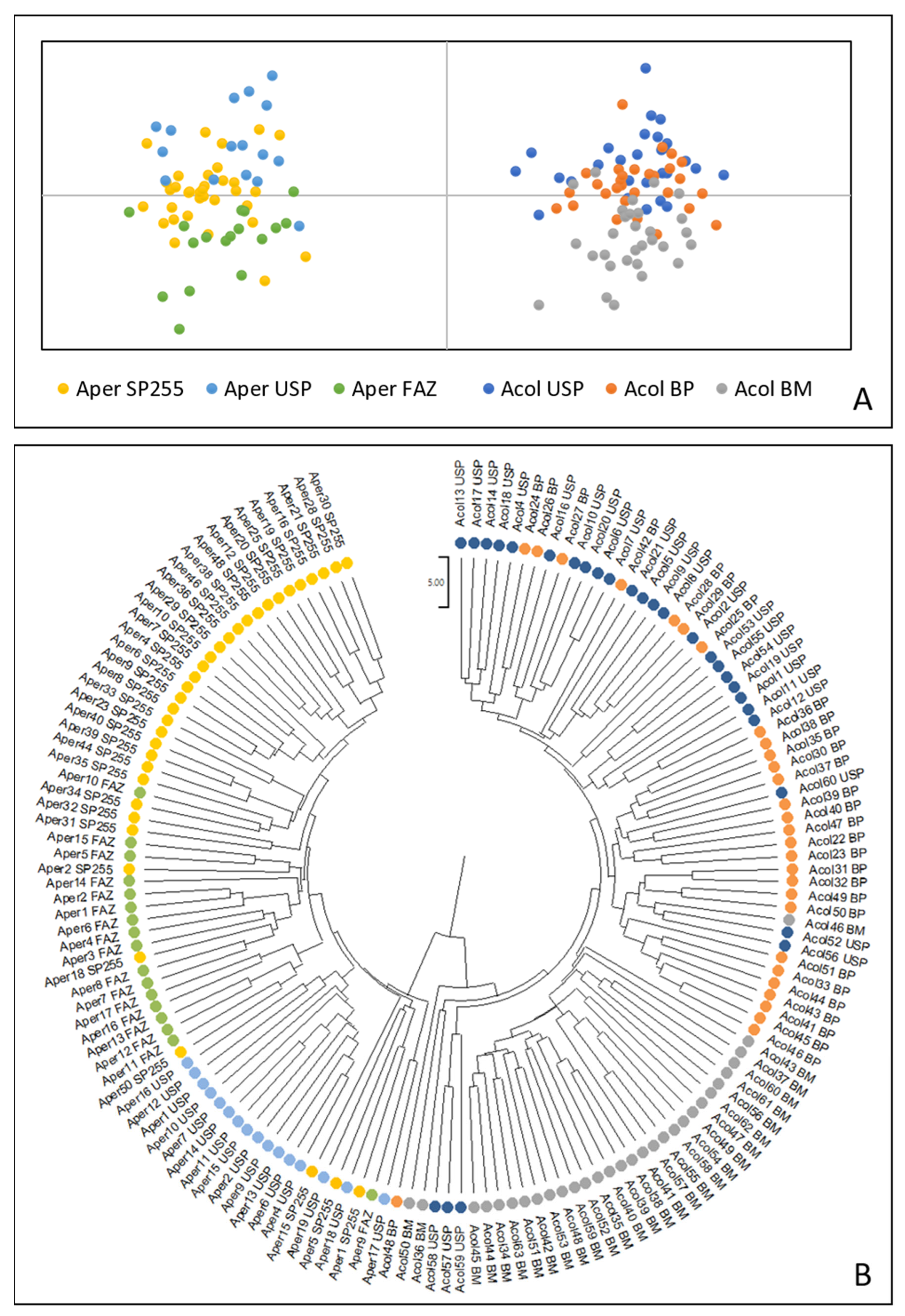 Taxonomy 04 00008 g004 Taxonomy 04 00008 g004