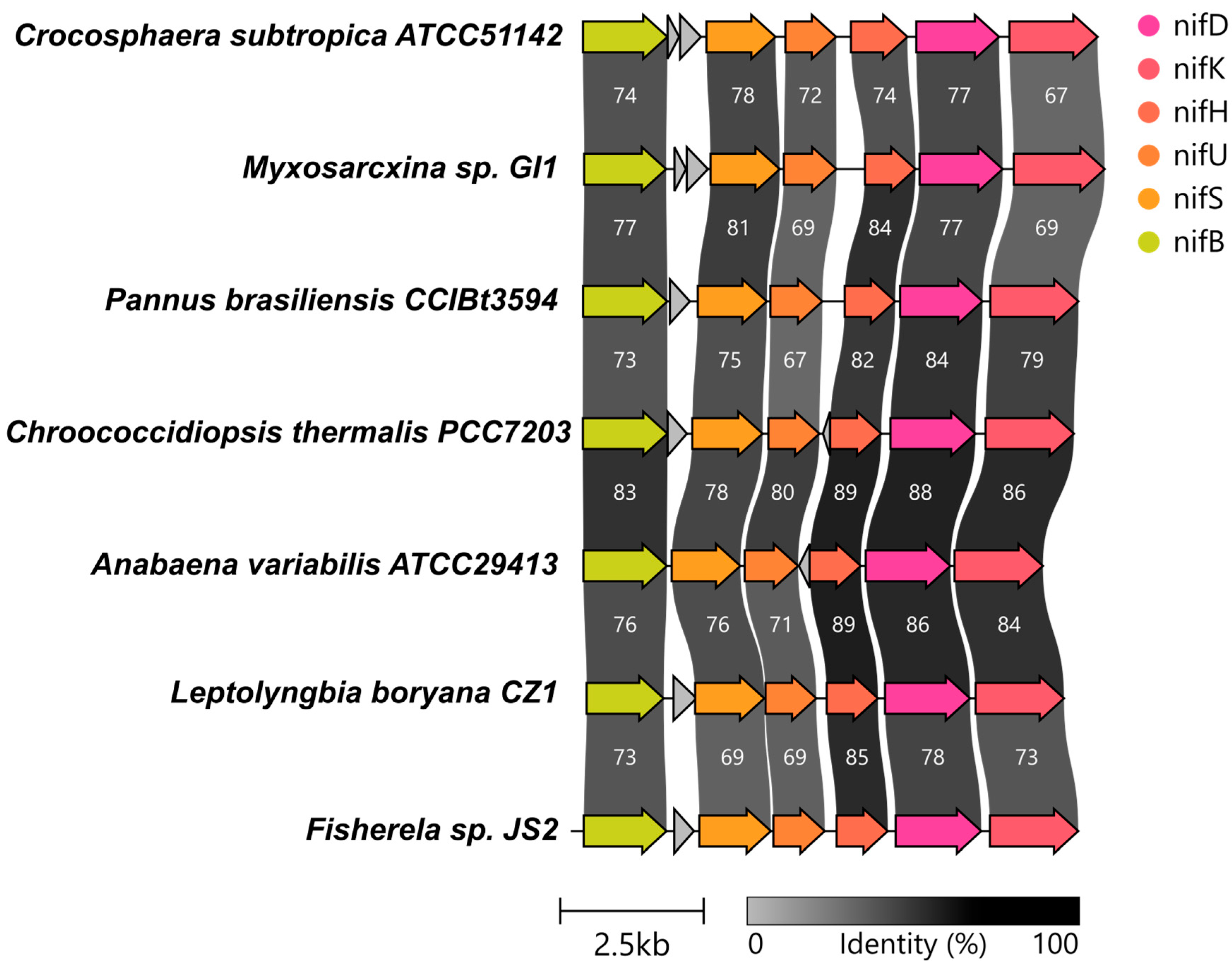 Taxonomy 04 00010 g001 Taxonomy 04 00010 g001