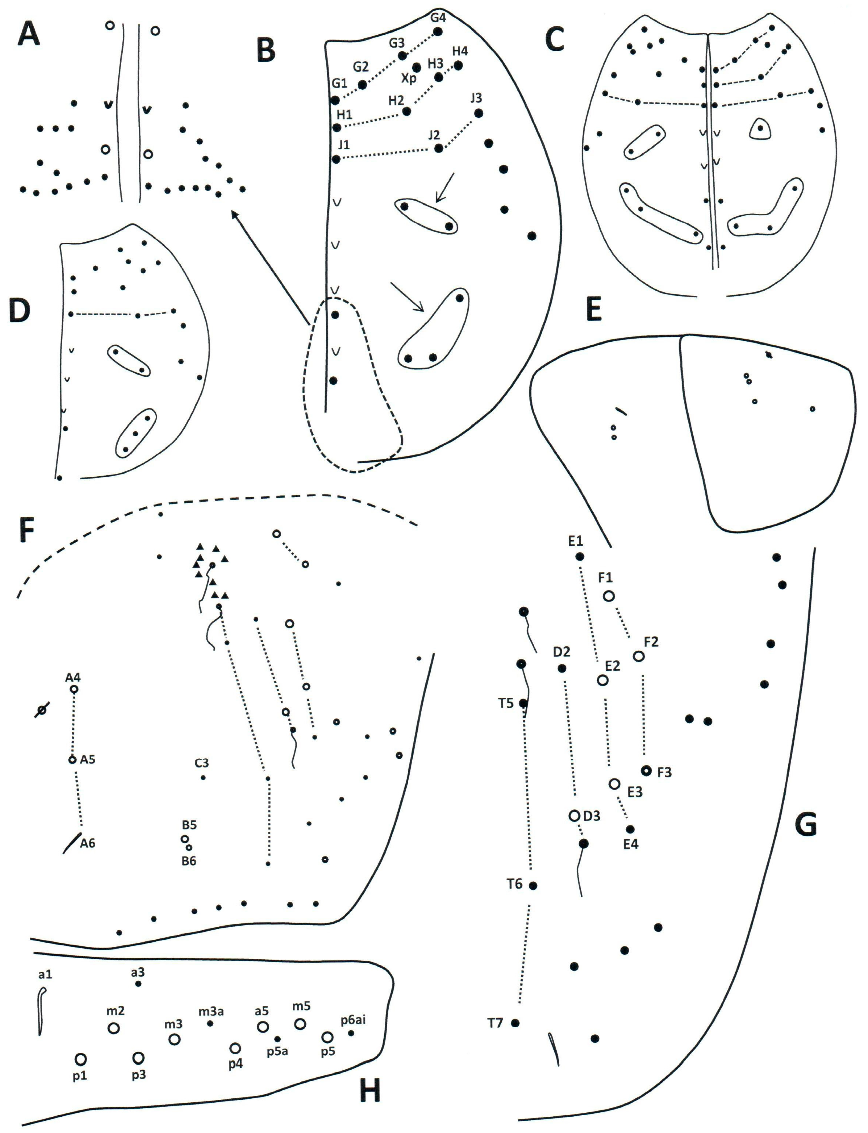 Taxonomy 04 00011 g006