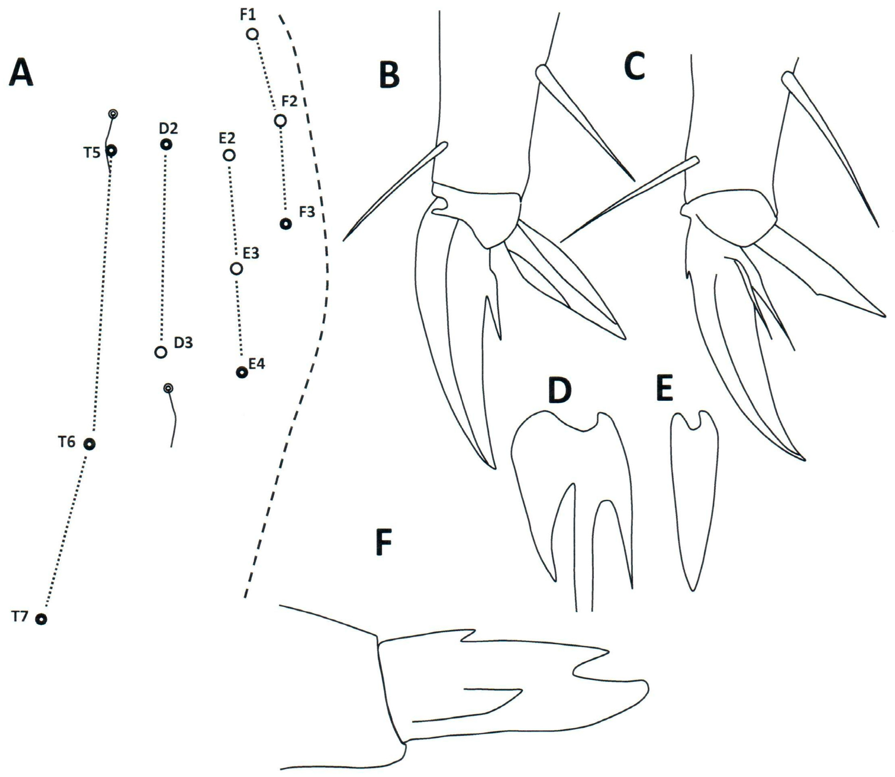 Taxonomy 04 00011 g007
