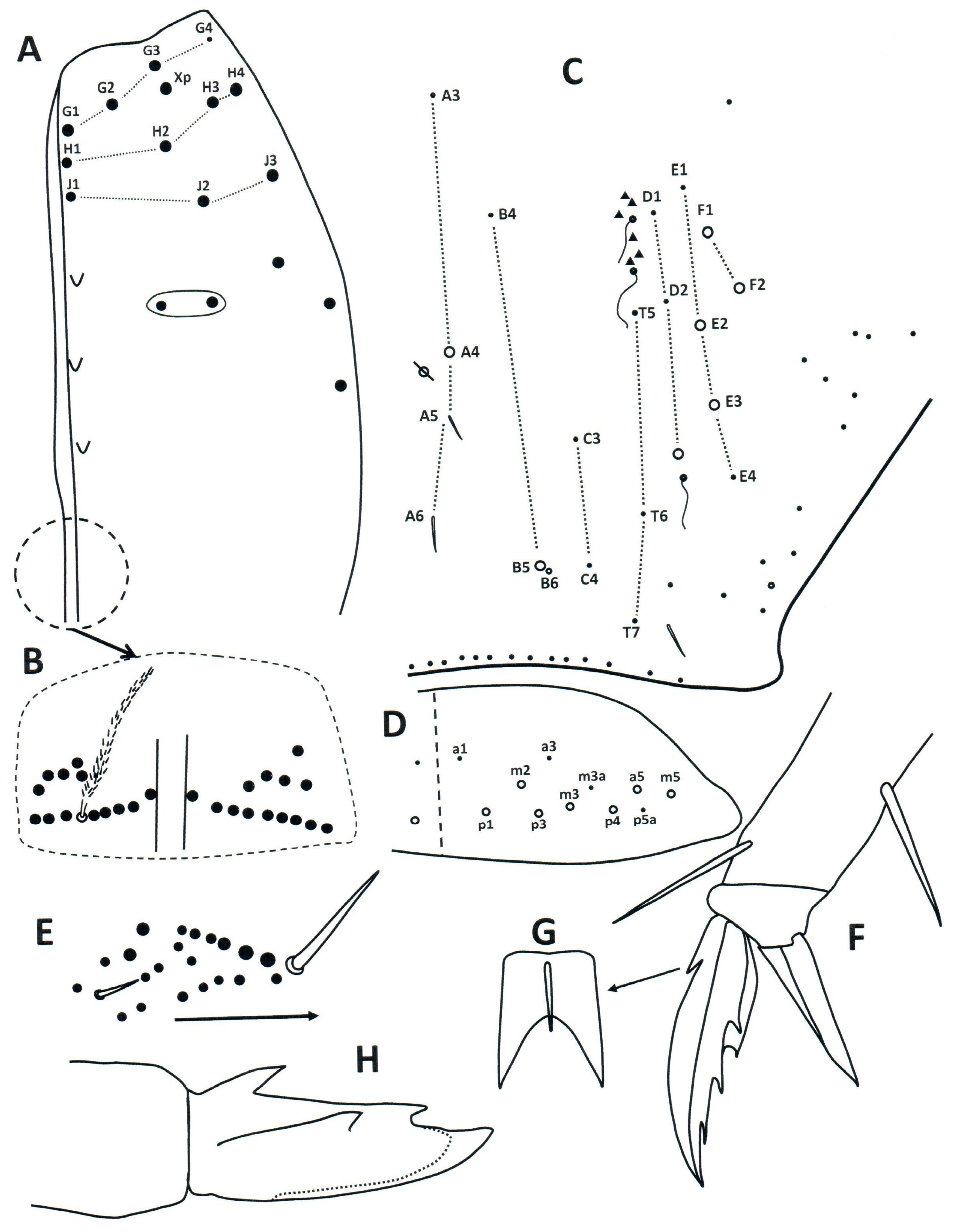 Taxonomy 04 00011 g009