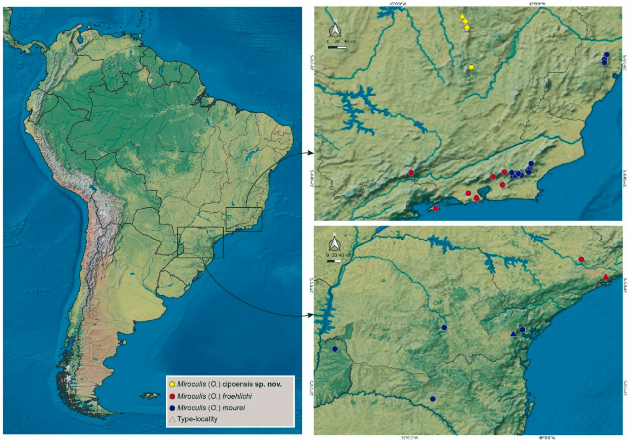 Taxonomy 04 00021 g011