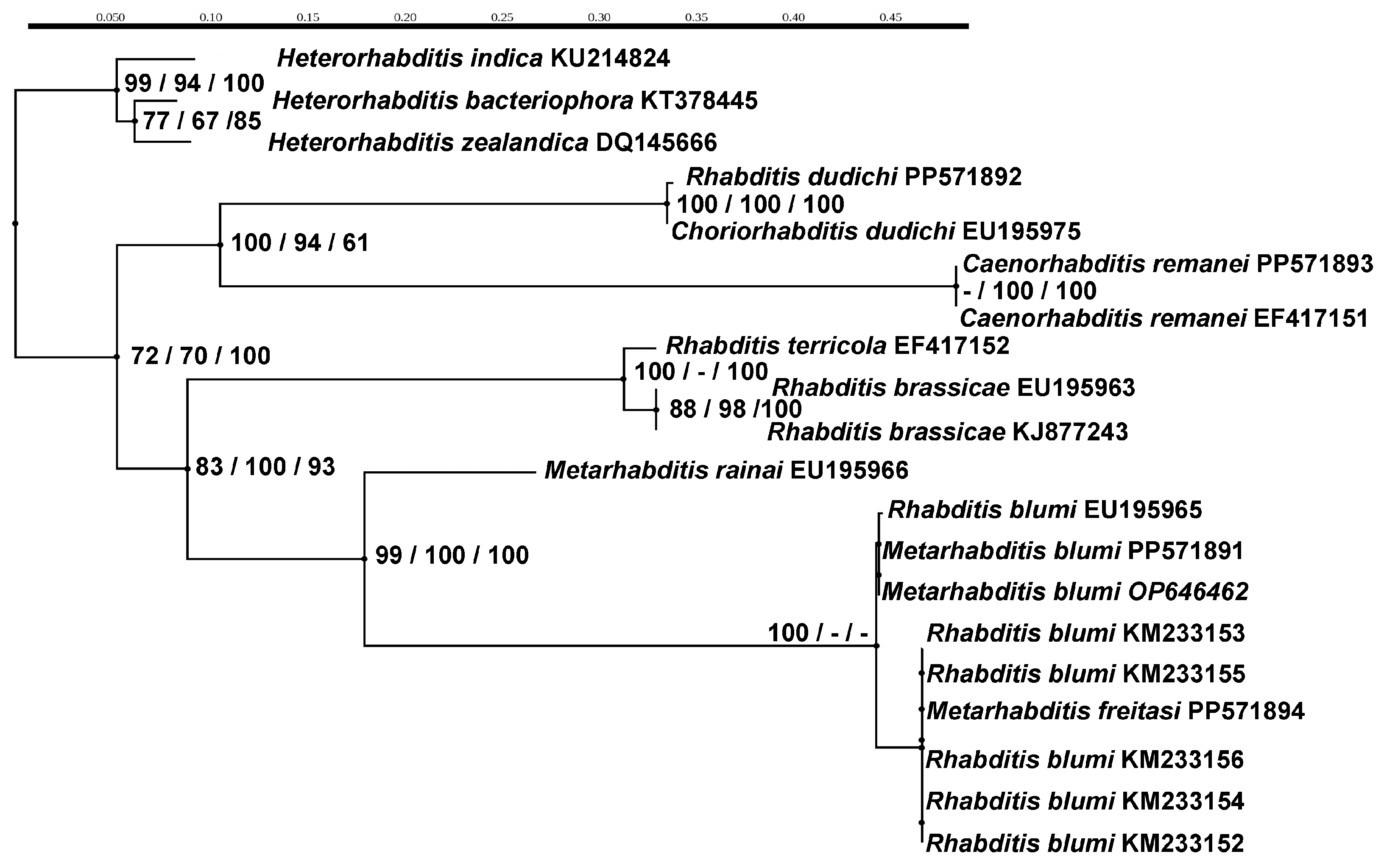 Taxonomy 04 00023 g017 Taxonomy 04 00023 g017