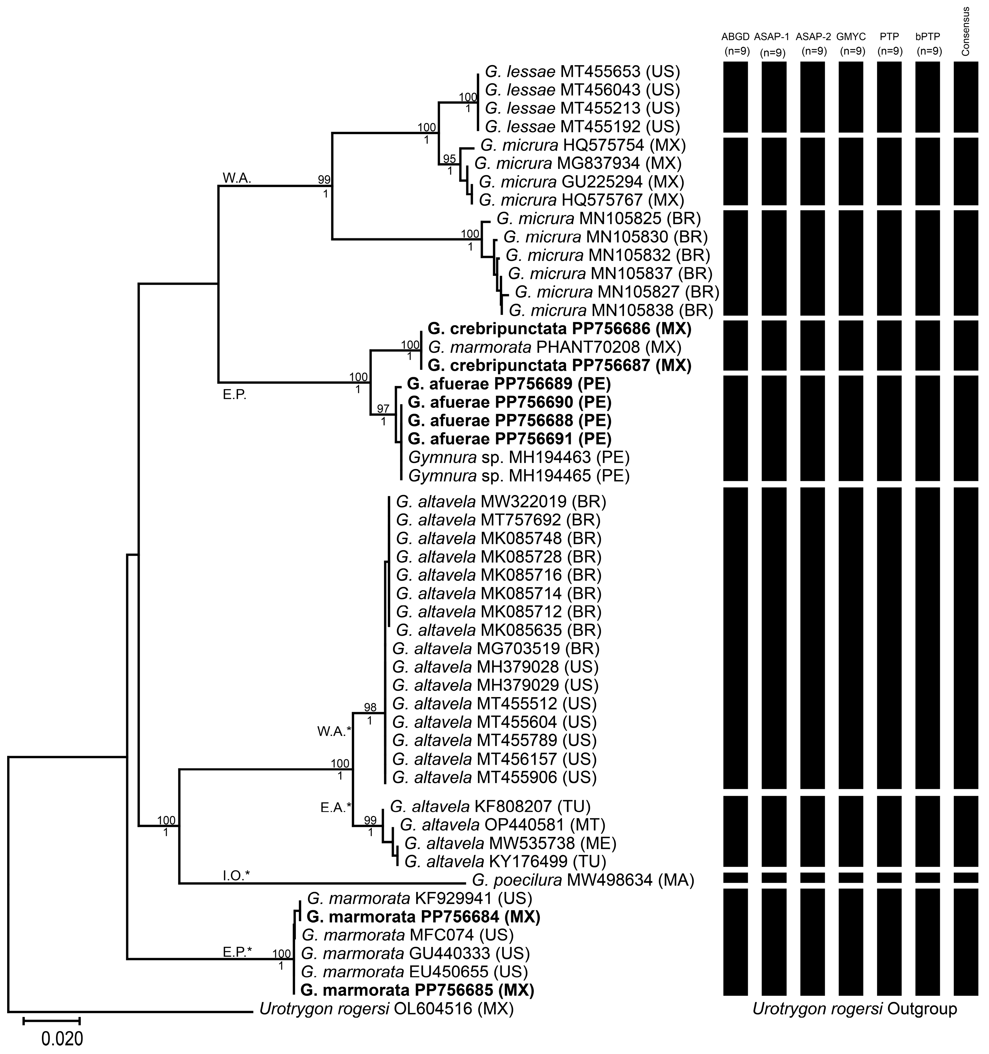 Taxonomy 04 00027 g002