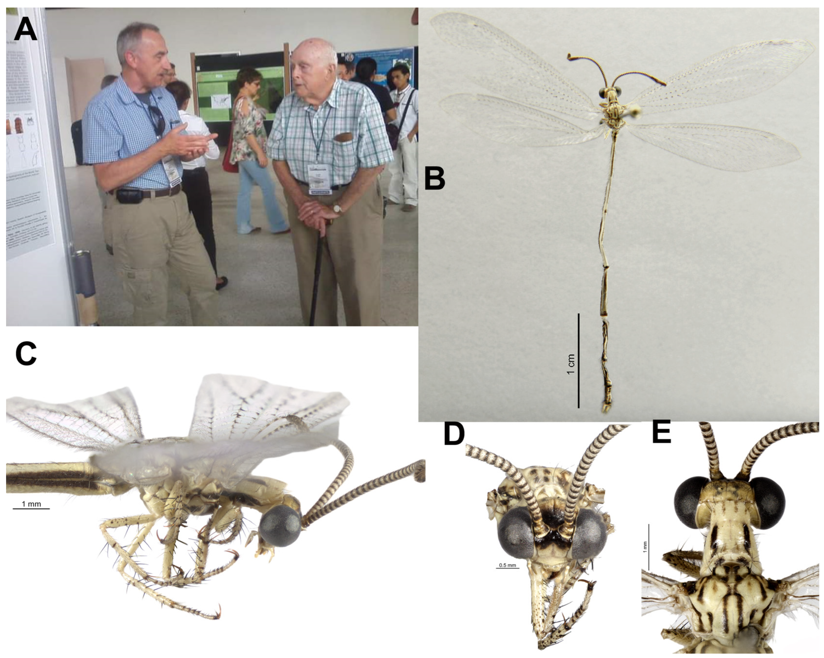 Taxonomy 04 00029 g001 Taxonomy 04 00029 g001