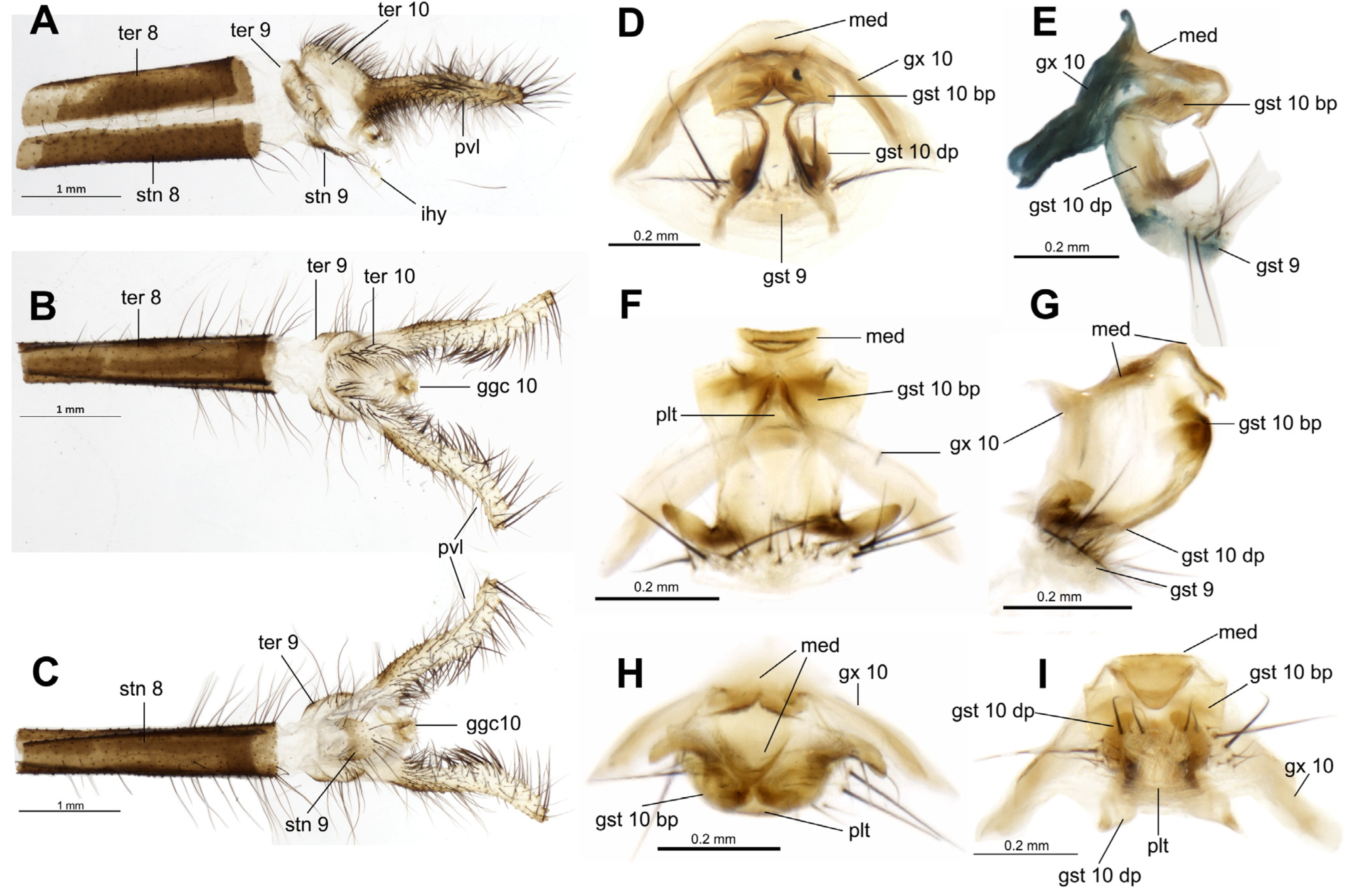 Taxonomy 04 00029 g003 Taxonomy 04 00029 g003
