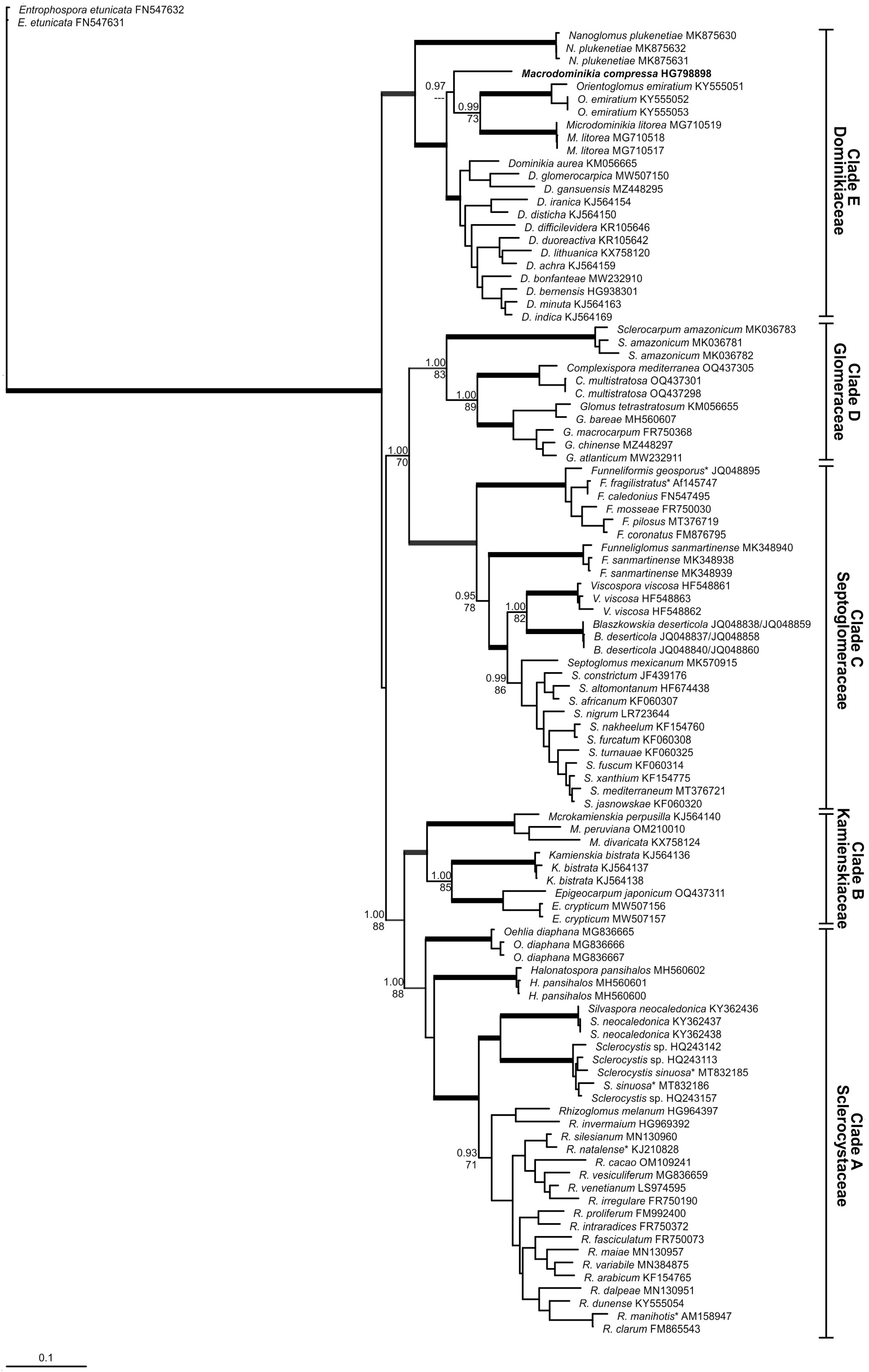 Taxonomy 04 00041 g001