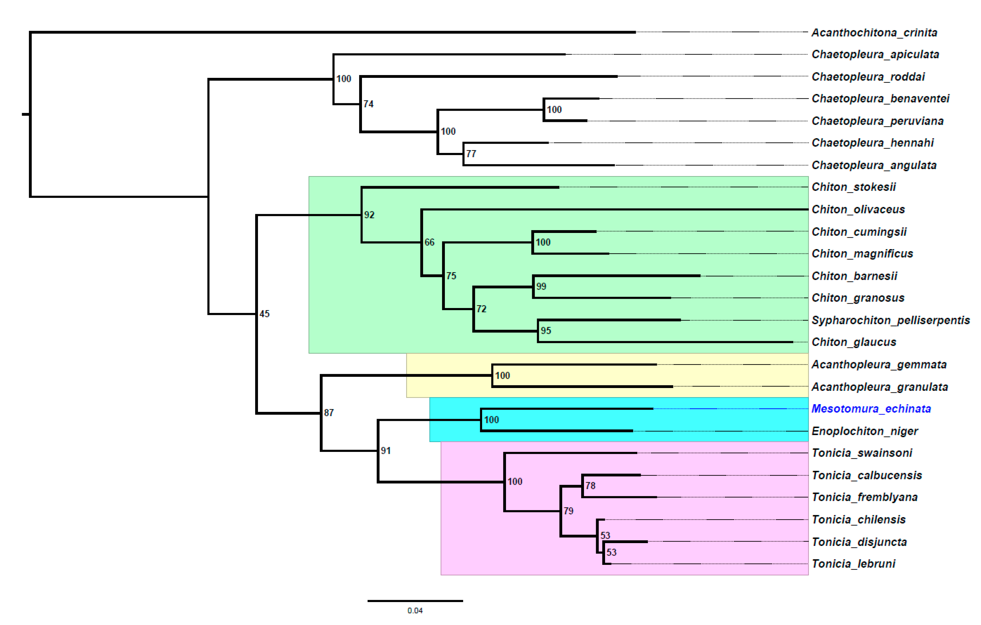 Taxonomy 04 00045 g006
