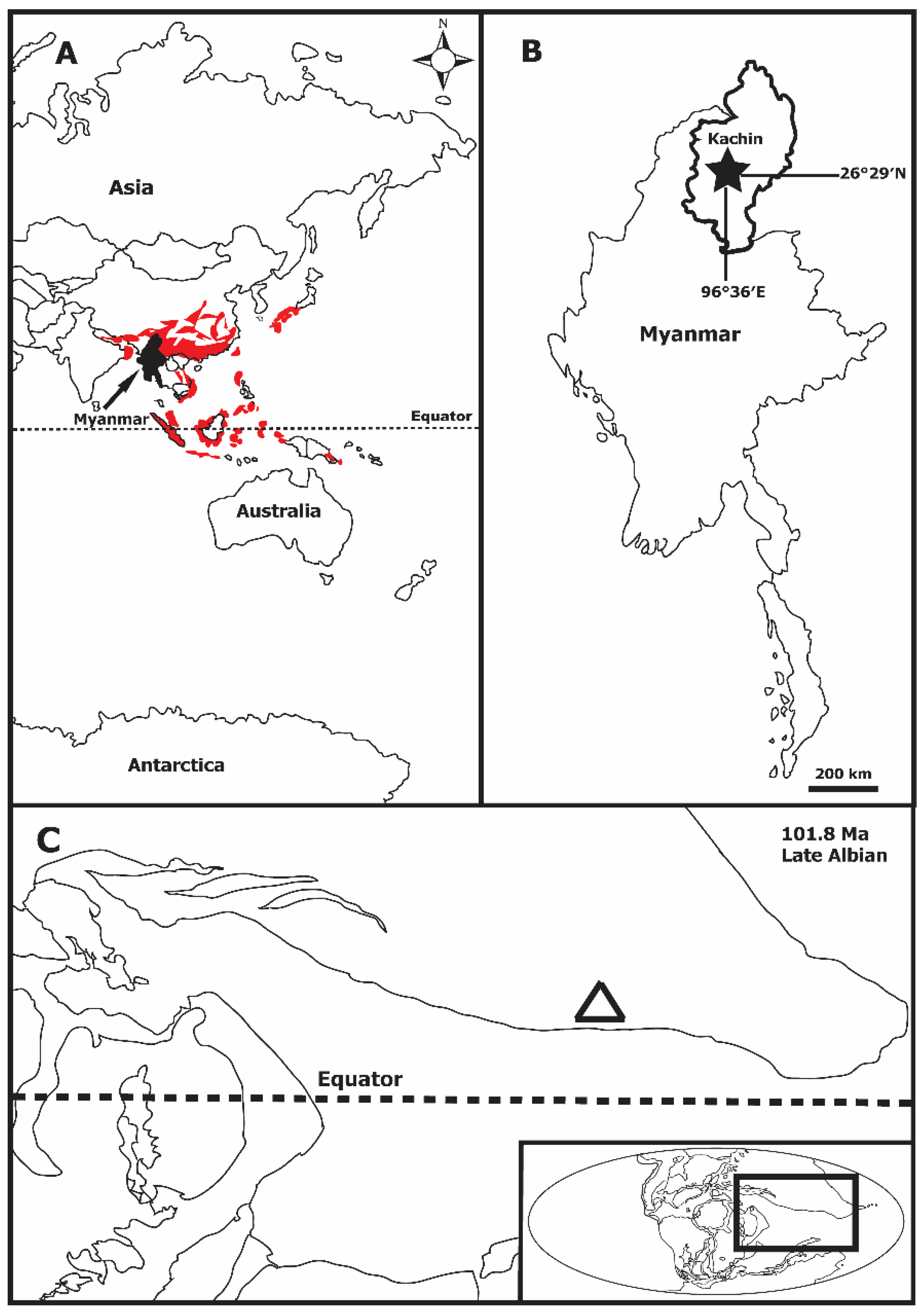Taxonomy 05 00003 g001 Taxonomy 05 00003 g001