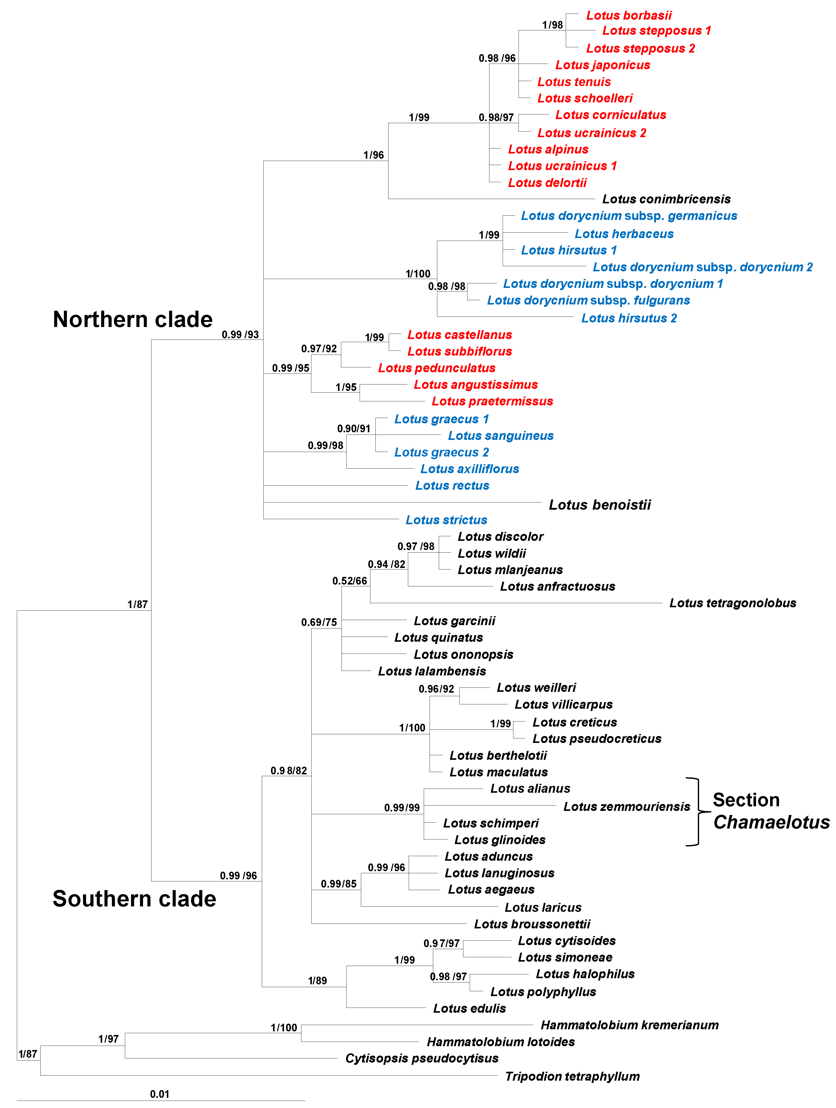 Taxonomy 05 00006 g001 Taxonomy 05 00006 g001