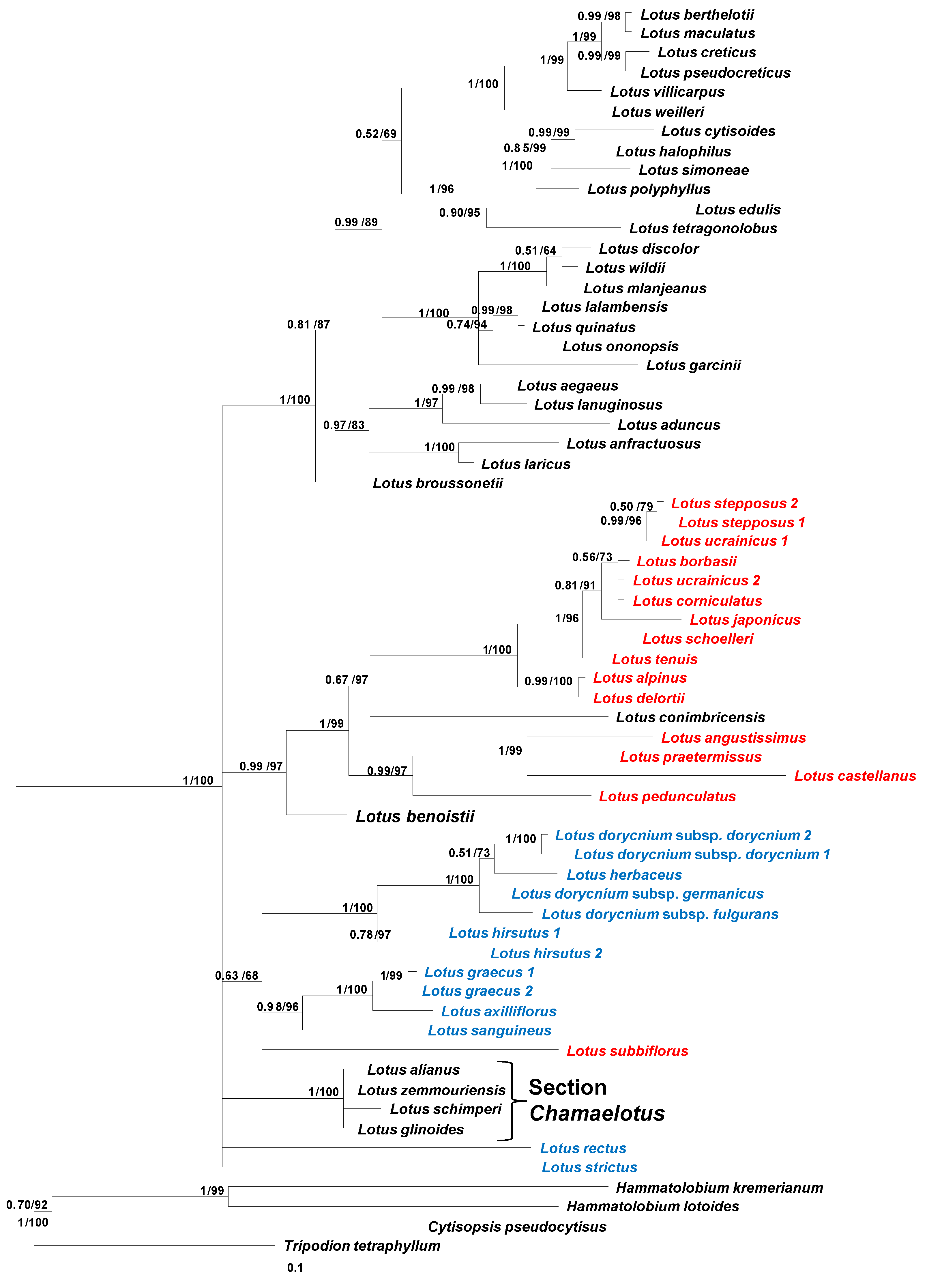 Taxonomy 05 00006 g002 Taxonomy 05 00006 g002