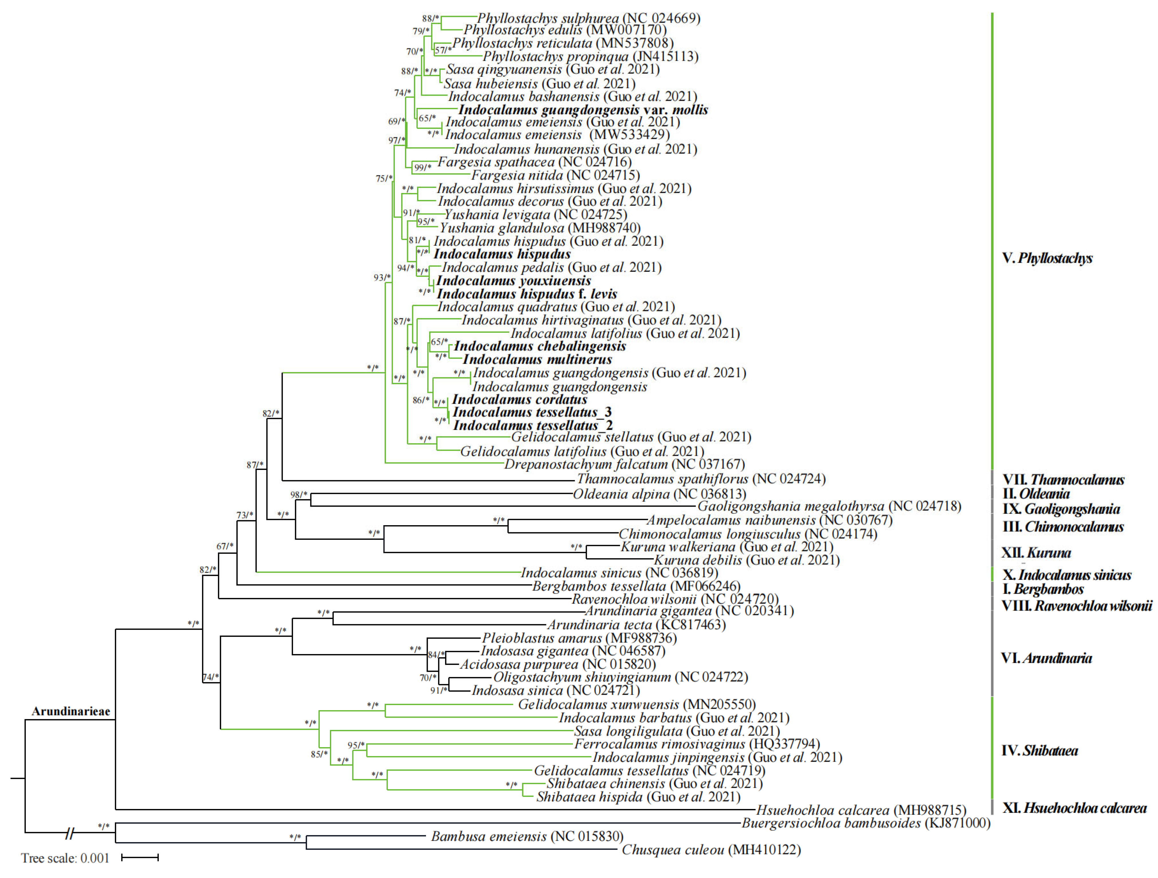 Taxonomy 05 00012 g008