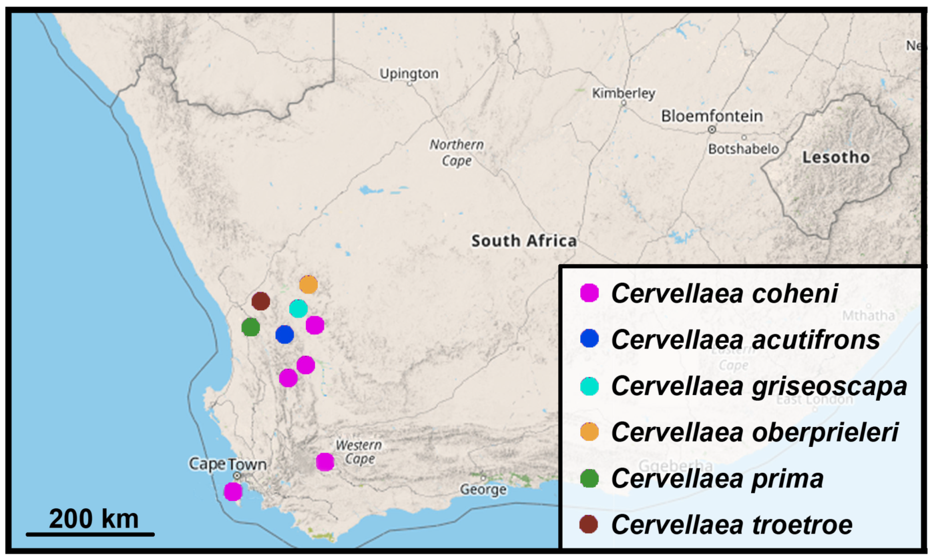 Taxonomy 05 00014 g003