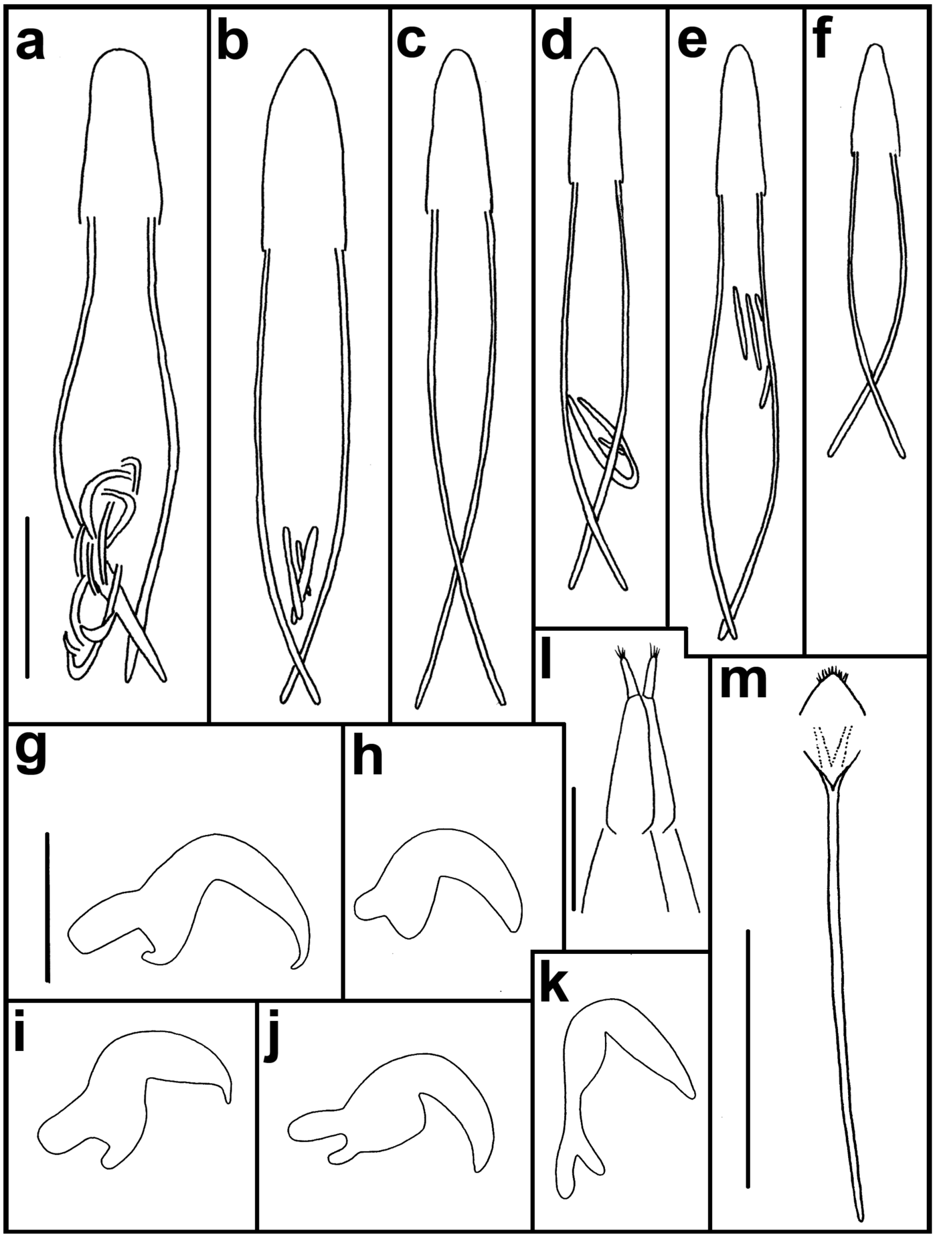 Taxonomy 05 00014 g010
