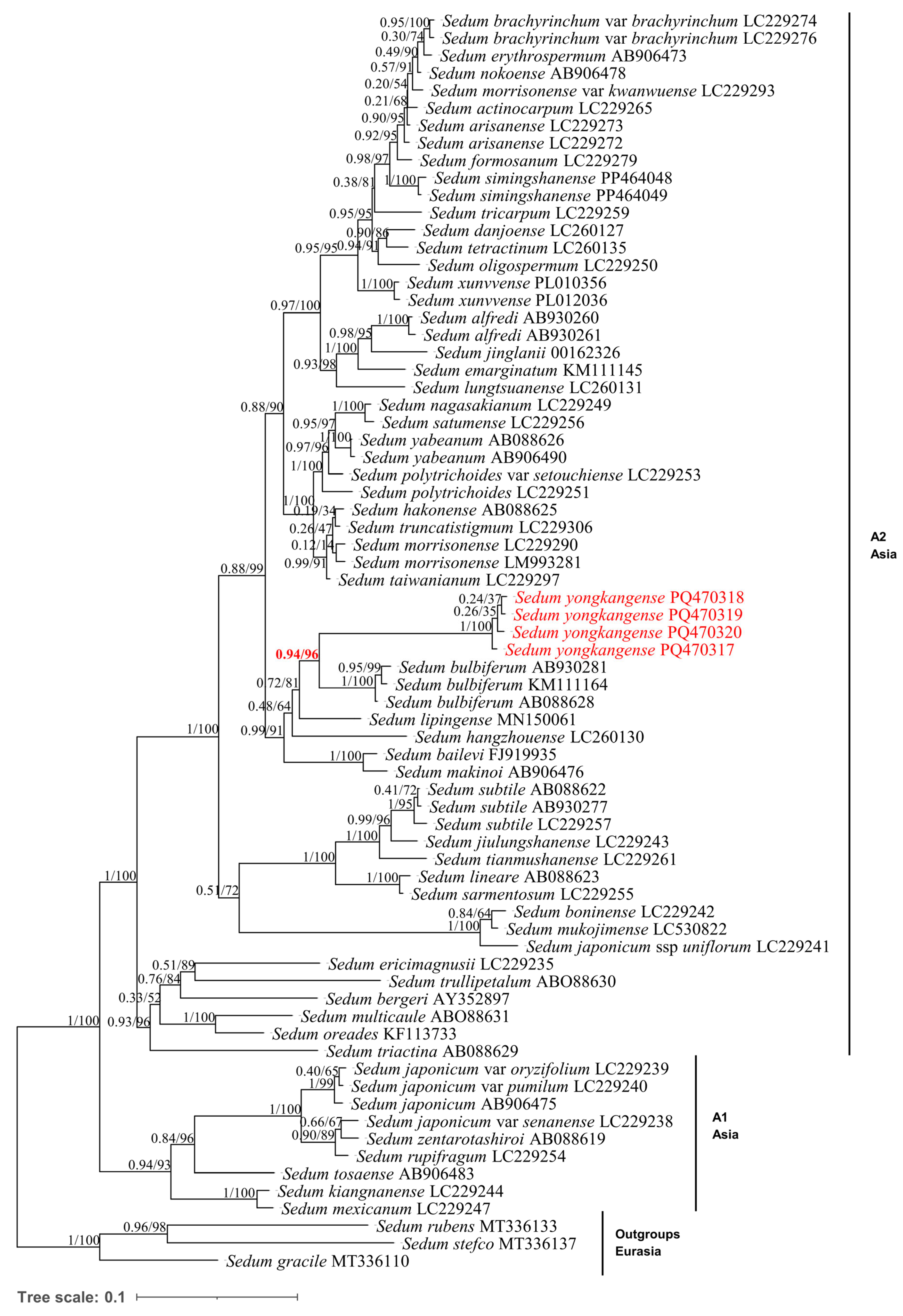 Taxonomy 05 00015 g002