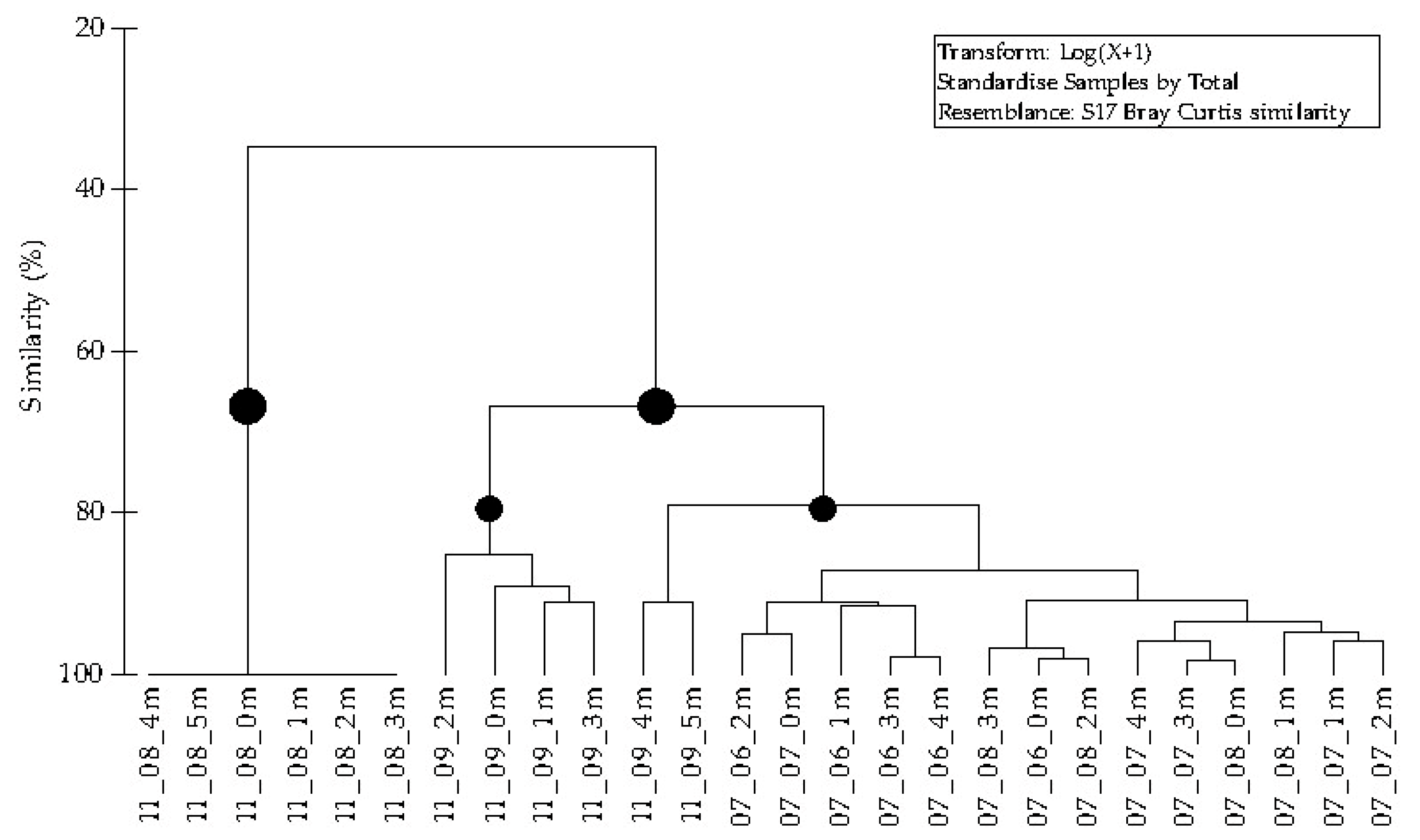 Taxonomy 05 00016 g007 Taxonomy 05 00016 g007