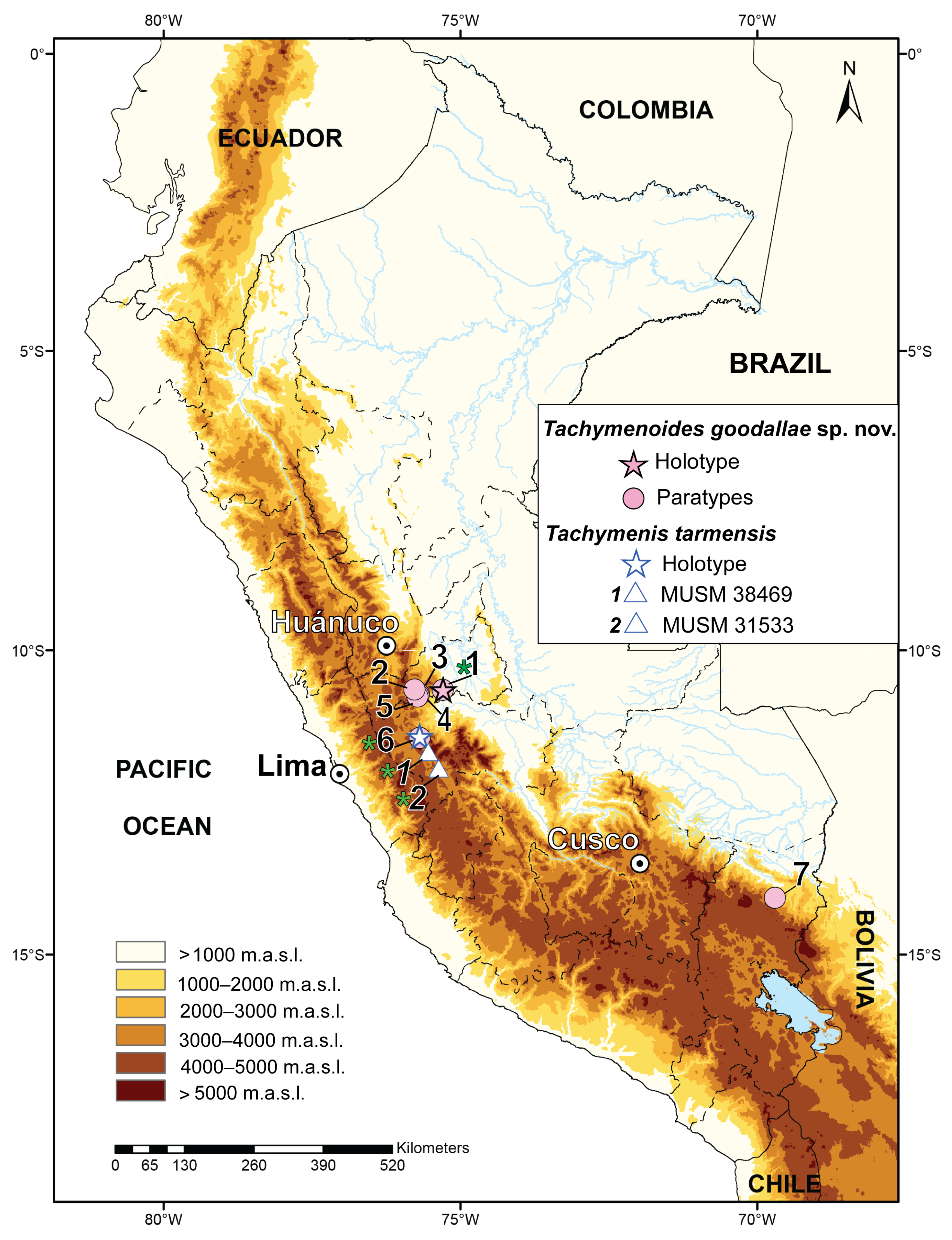 Taxonomy 05 00018 g003