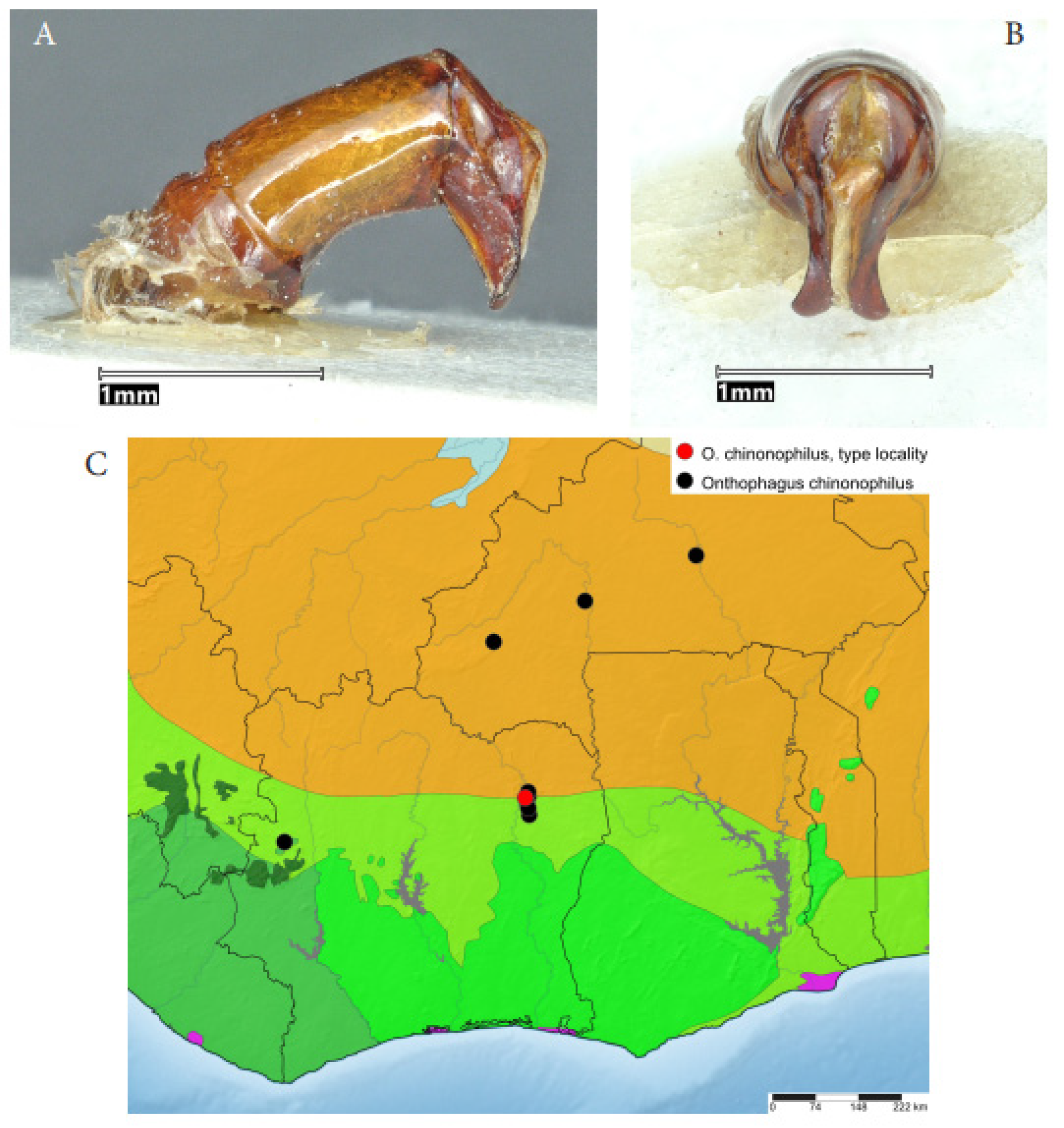 Taxonomy 05 00021 g009