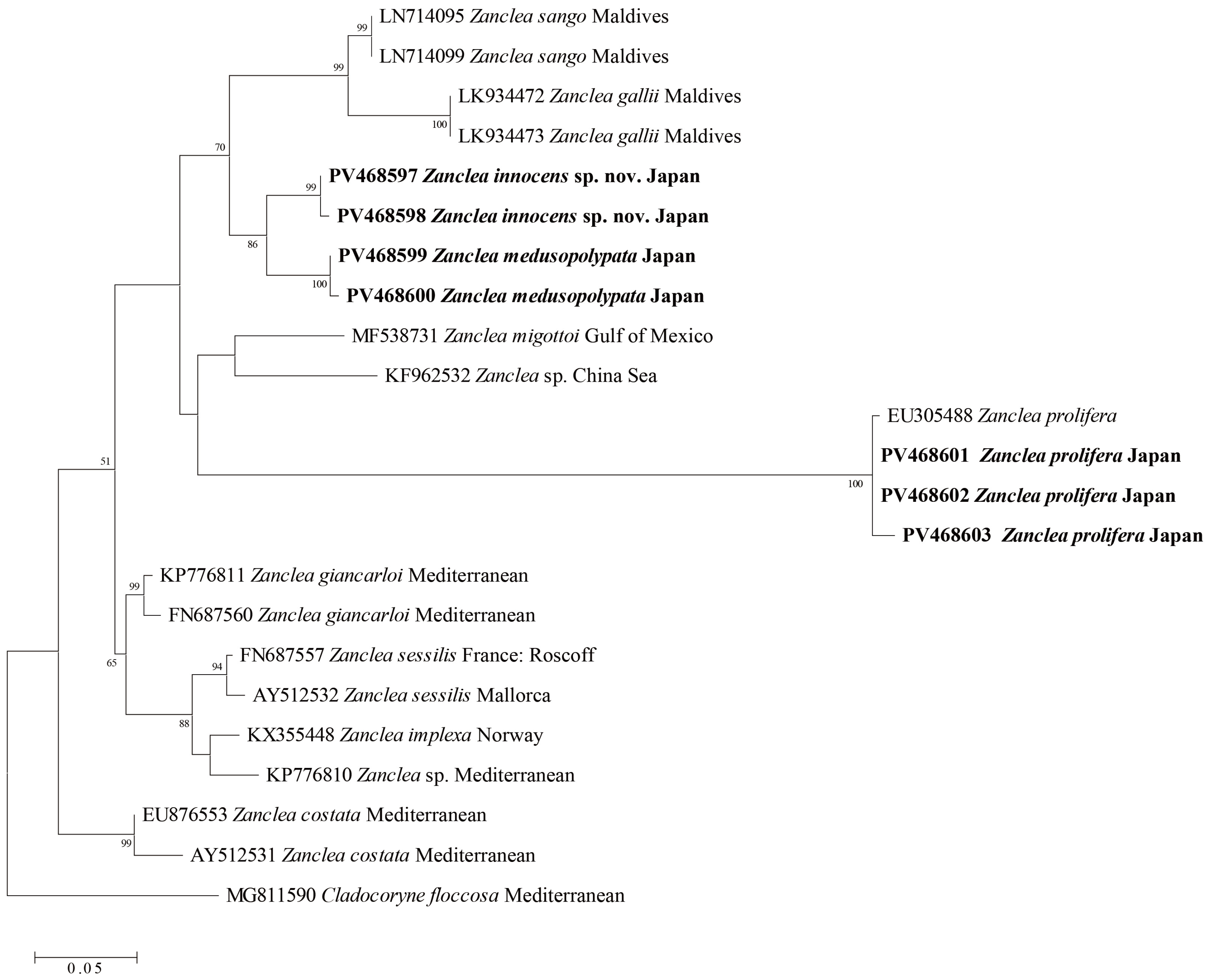 Taxonomy 05 00022 g009