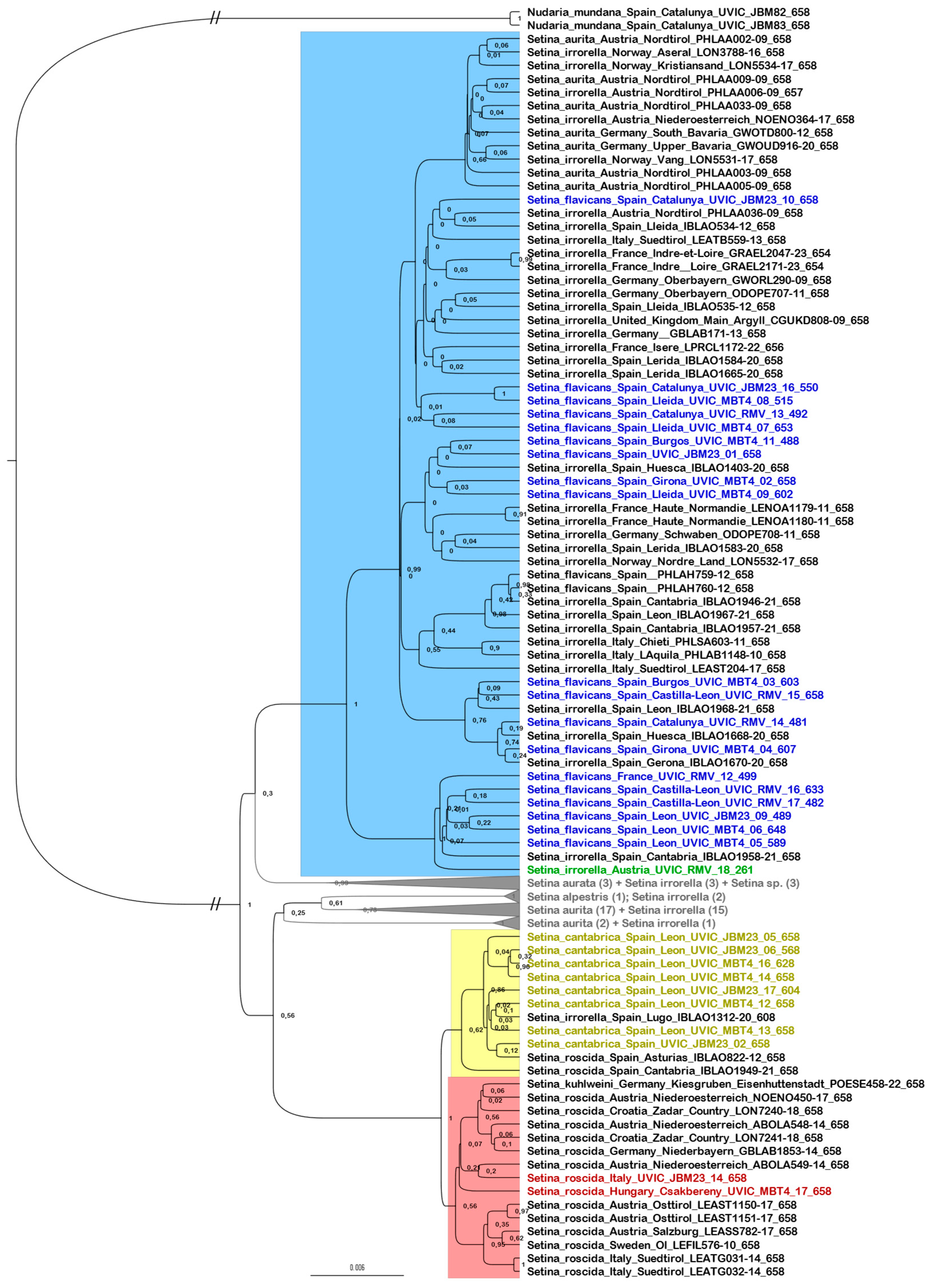 Taxonomy 05 00023 g014