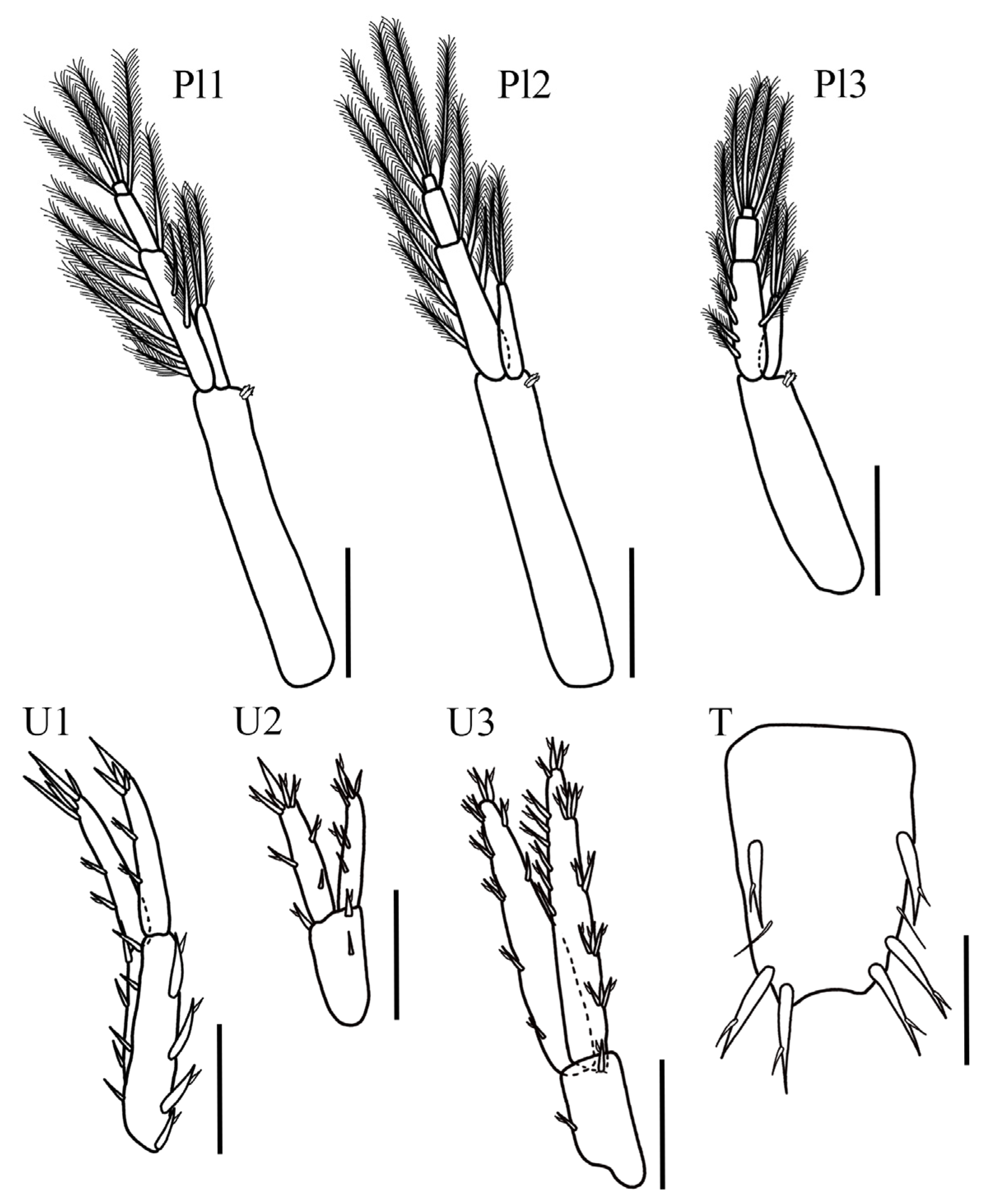 Taxonomy 05 00028 g007