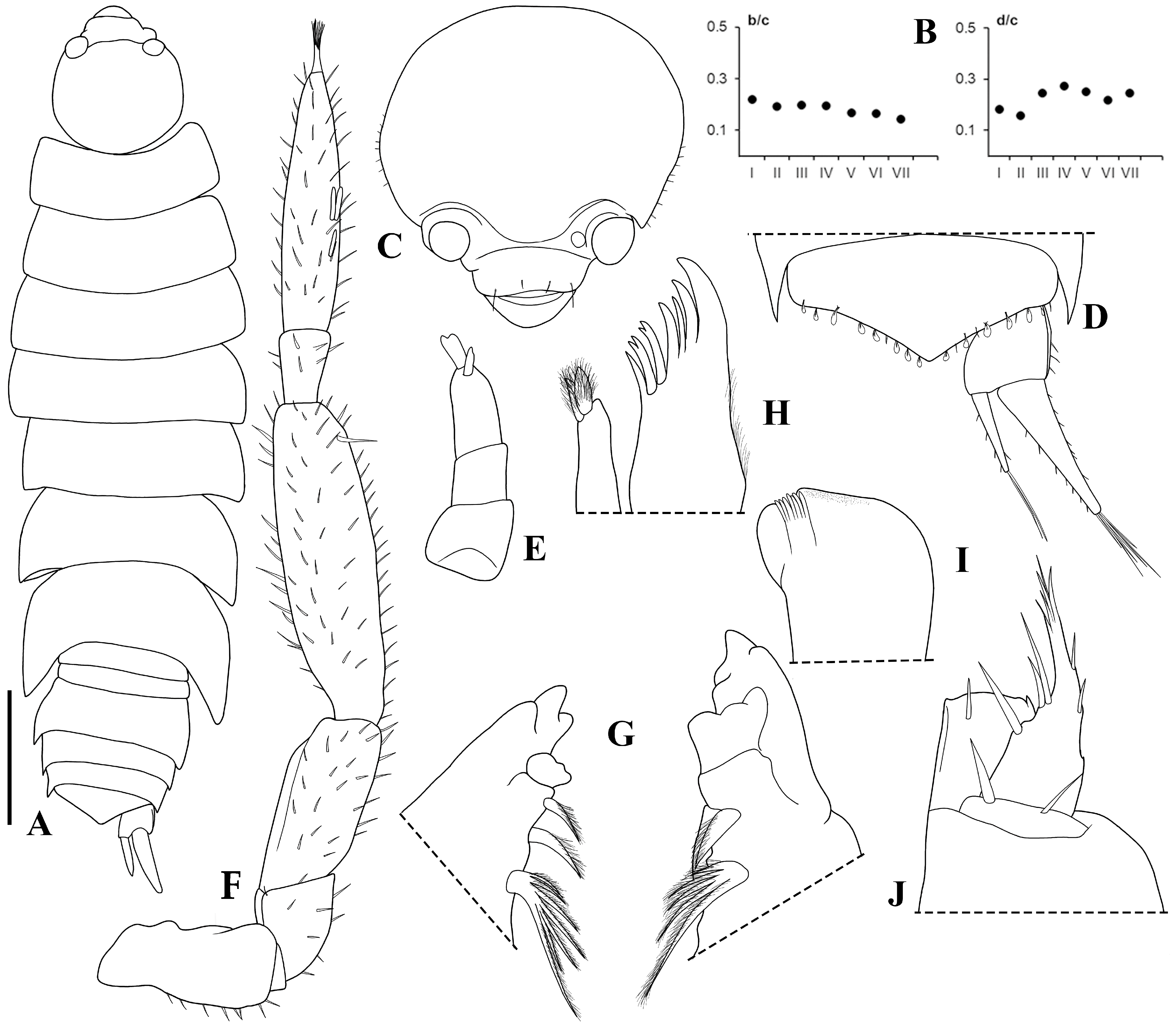 Taxonomy 05 00030 g007
