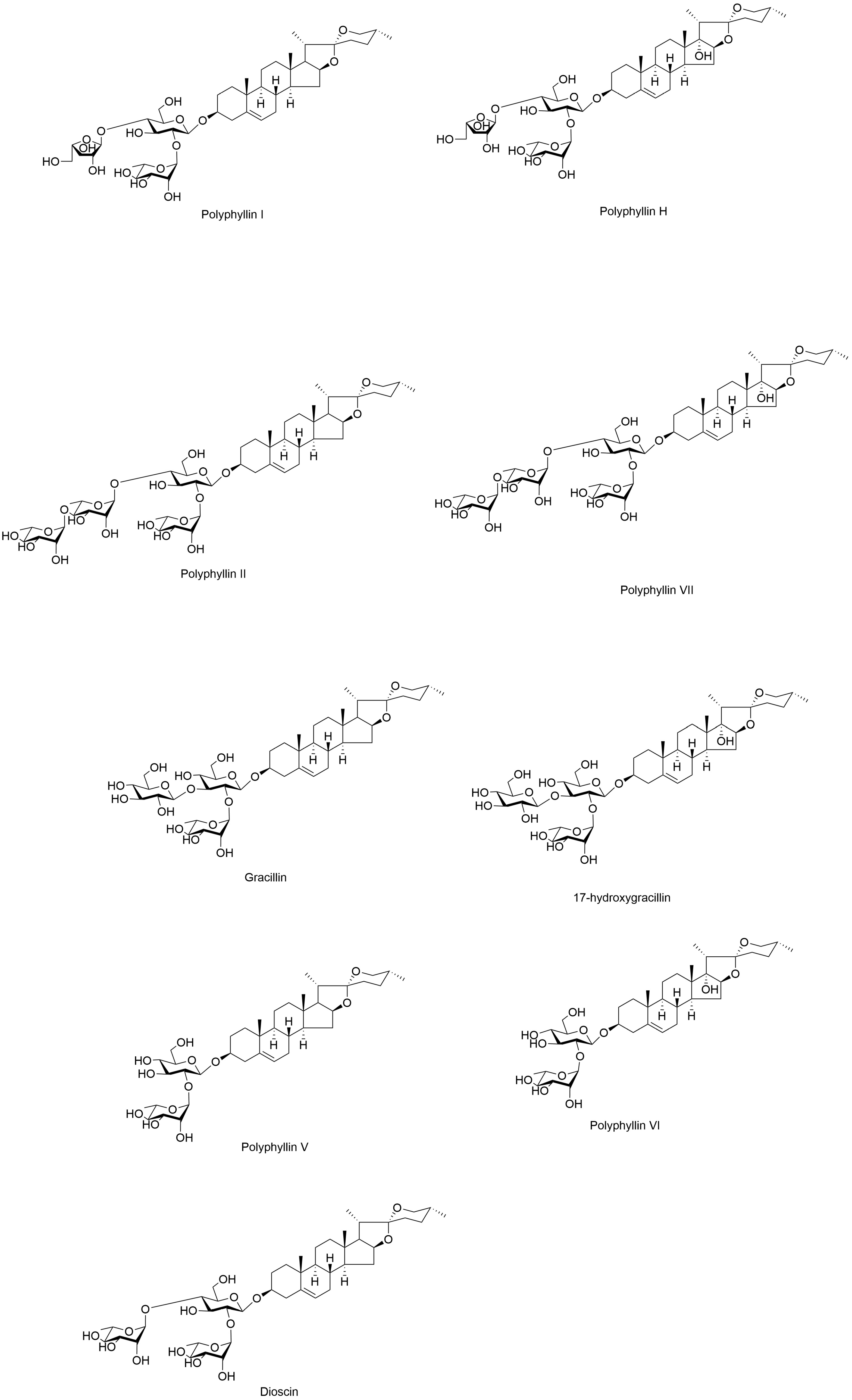 Taxonomy 05 00032 g002