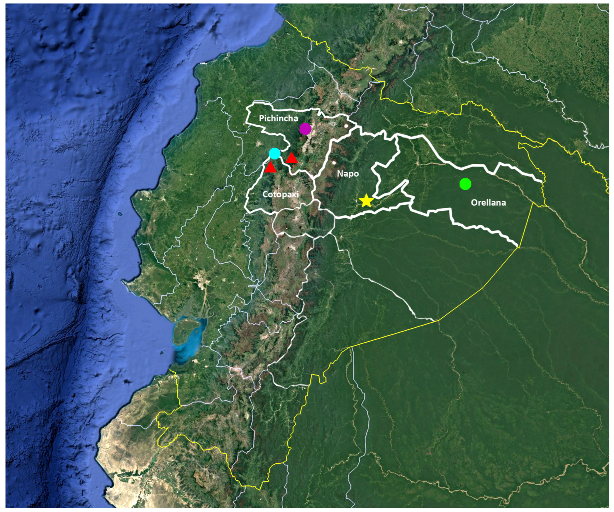 Taxonomy 05 00035 g064