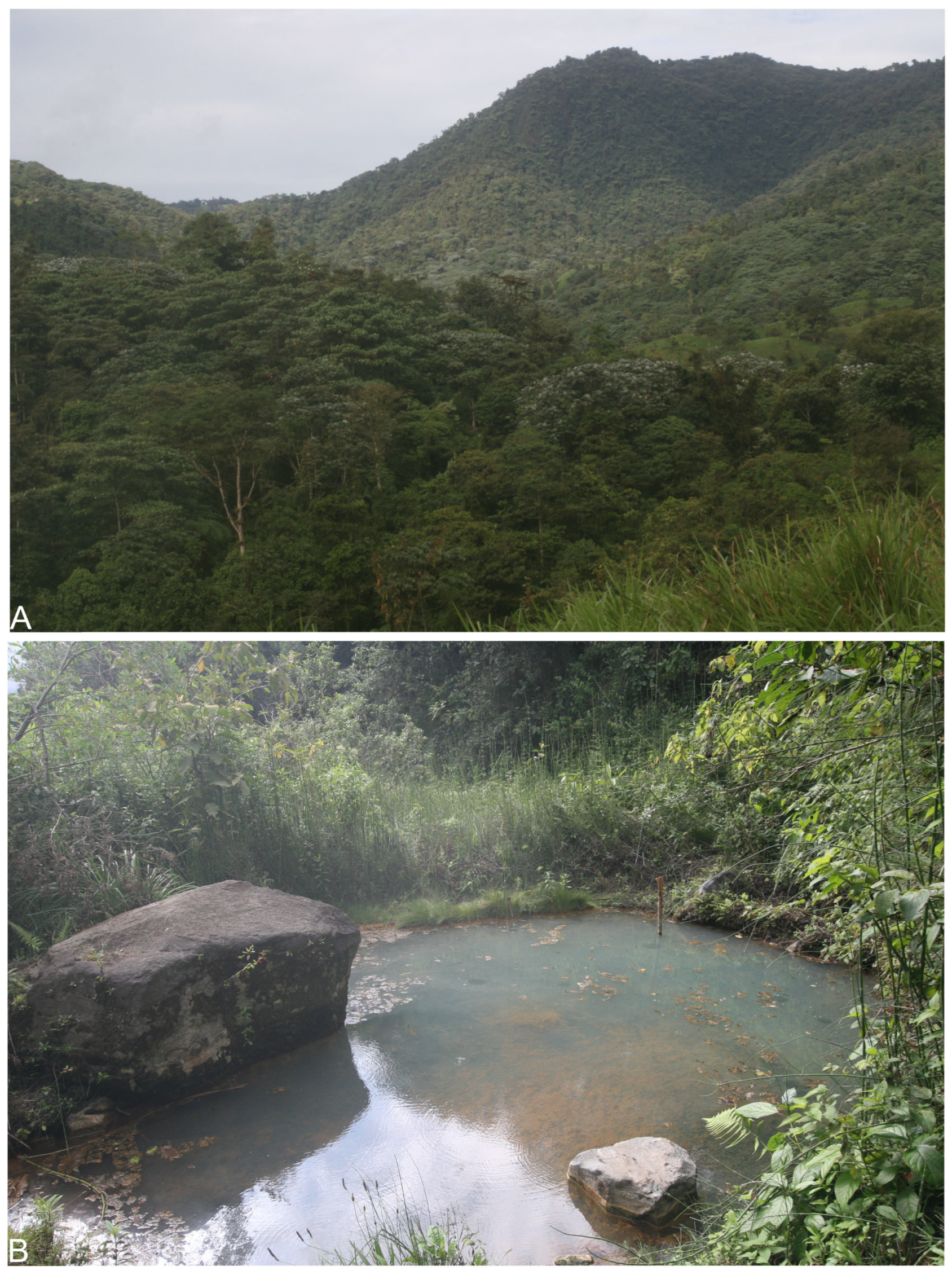 Taxonomy 05 00035 g066