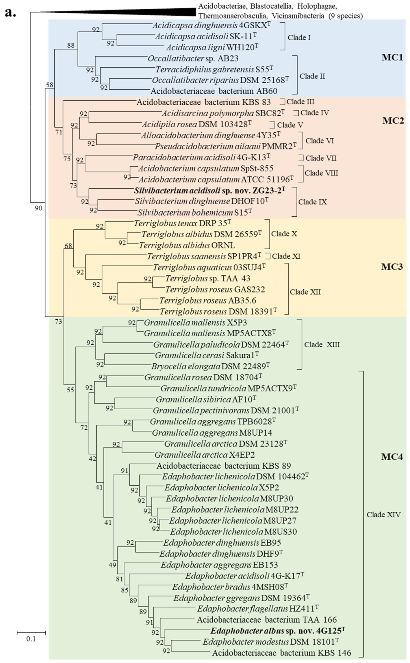 Taxonomy 05 00040 g002a