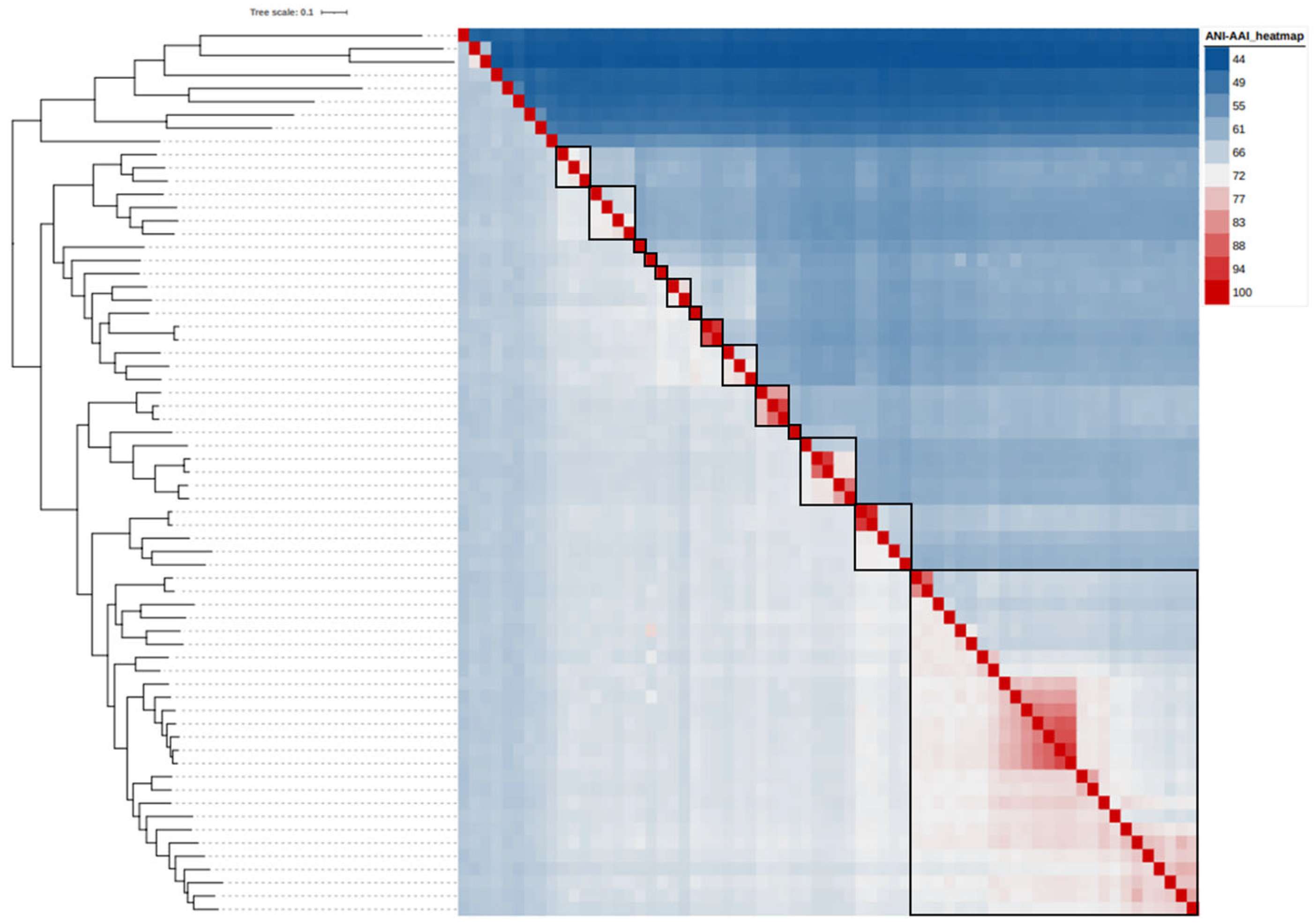 Taxonomy 05 00040 g003