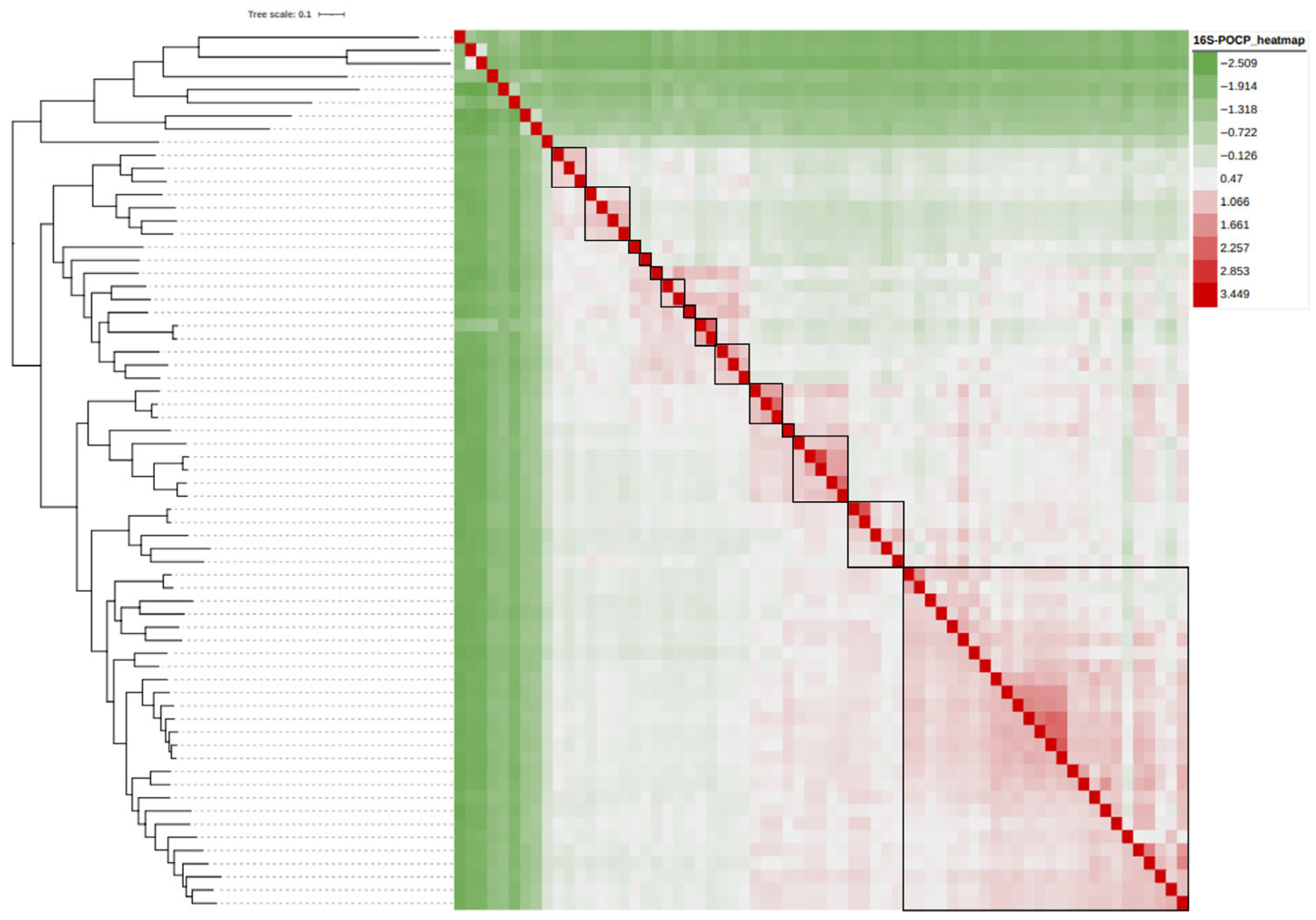 Taxonomy 05 00040 g004