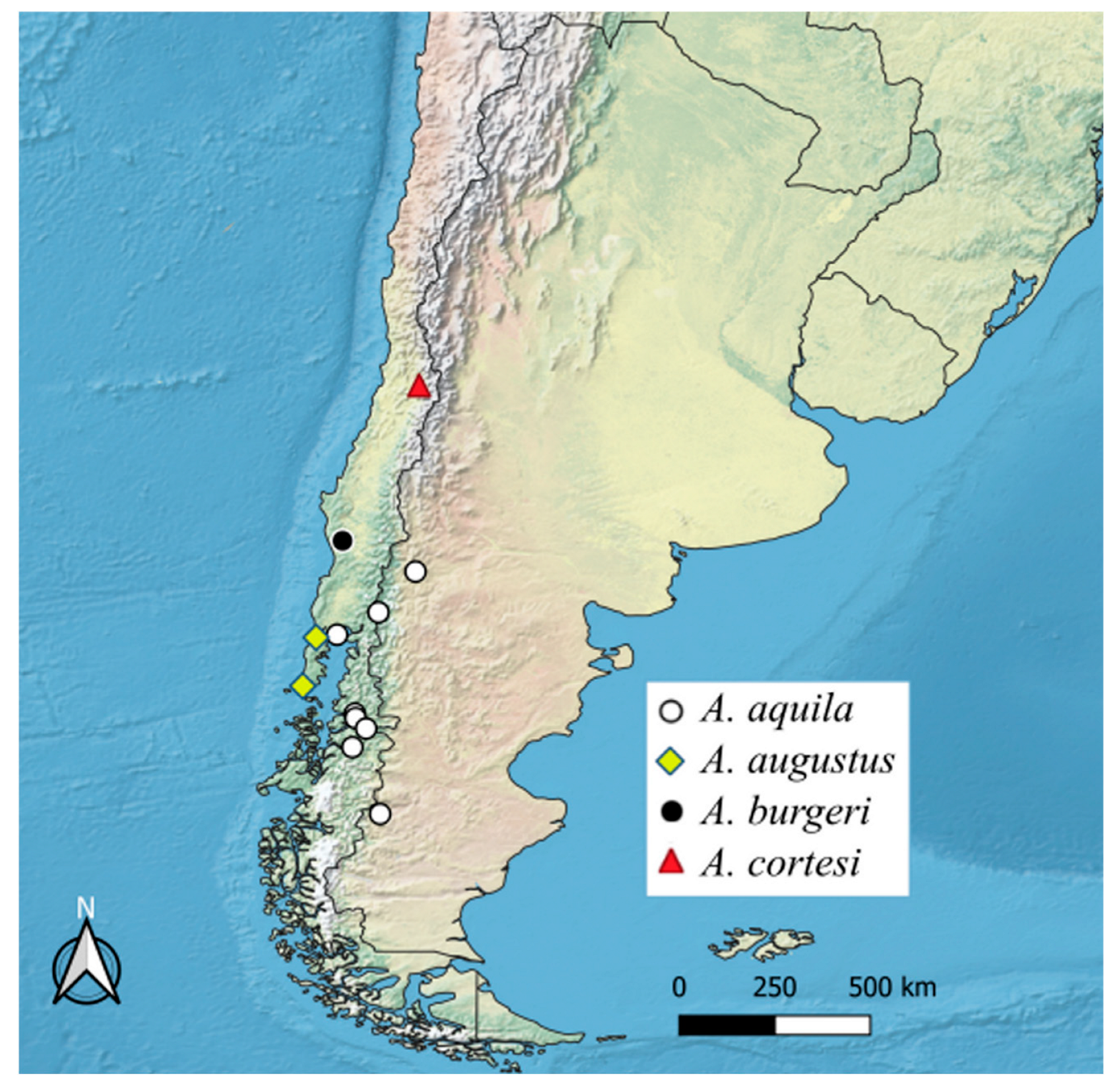 Taxonomy 05 00047 g002