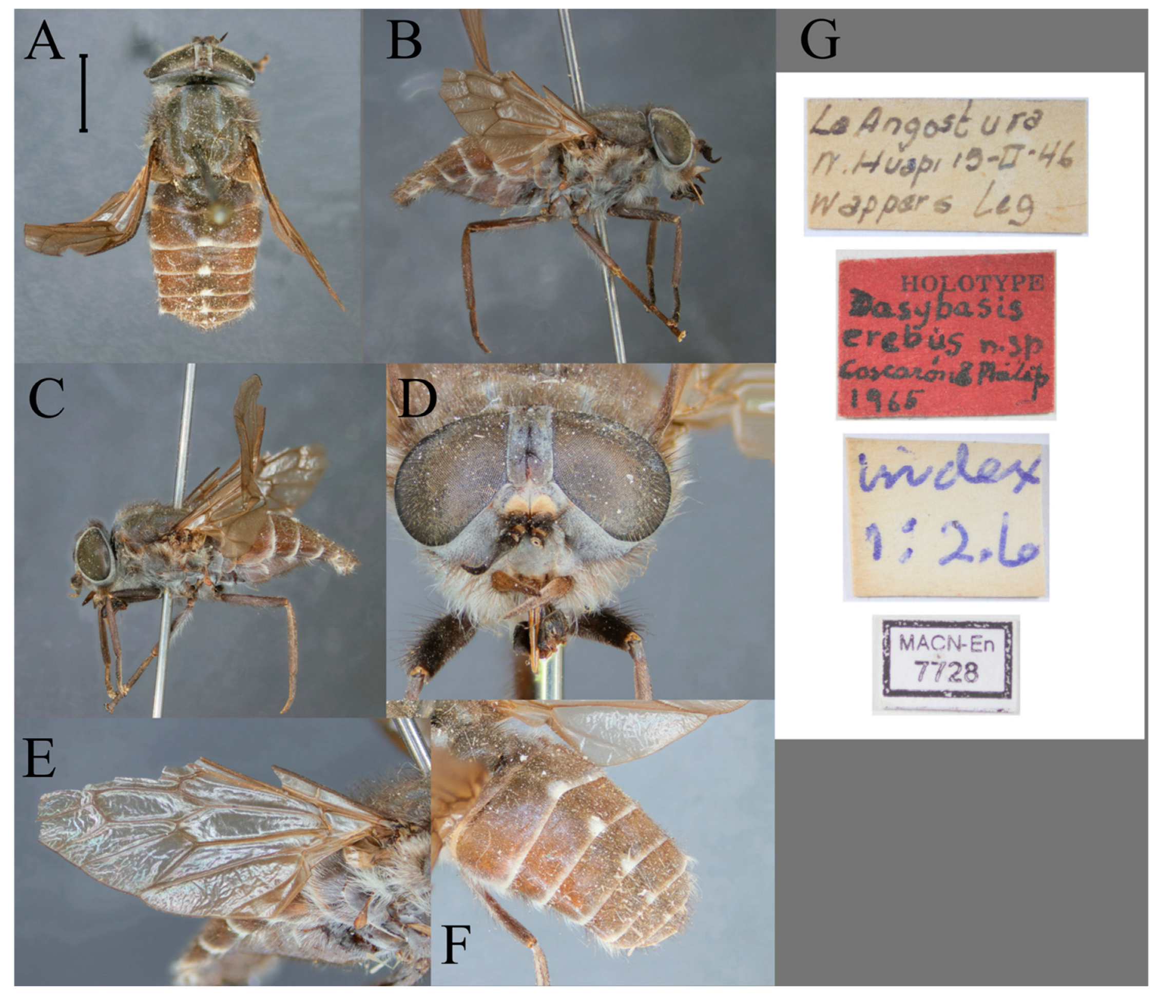 Taxonomy 05 00047 g010