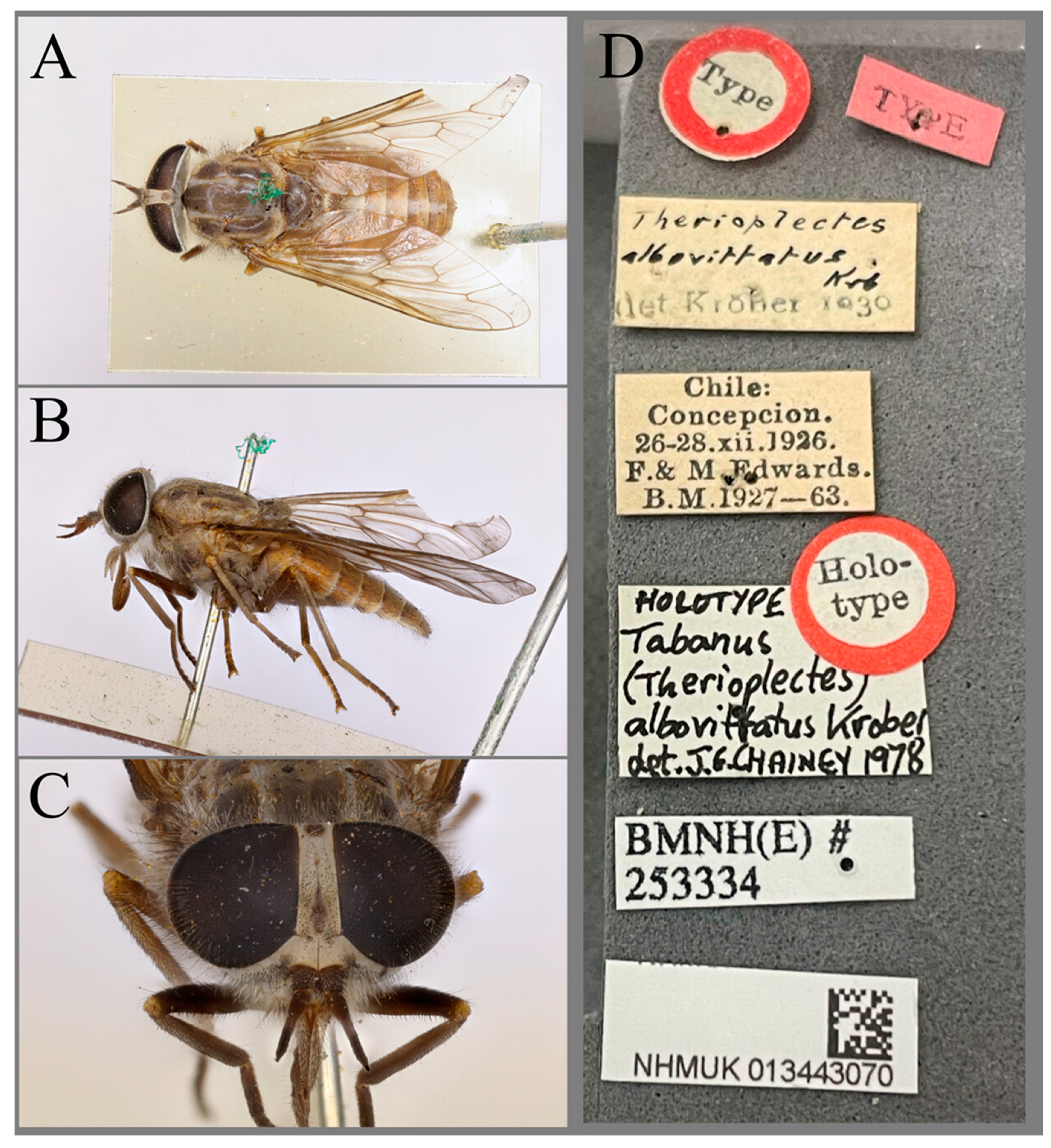 Taxonomy 05 00047 g019