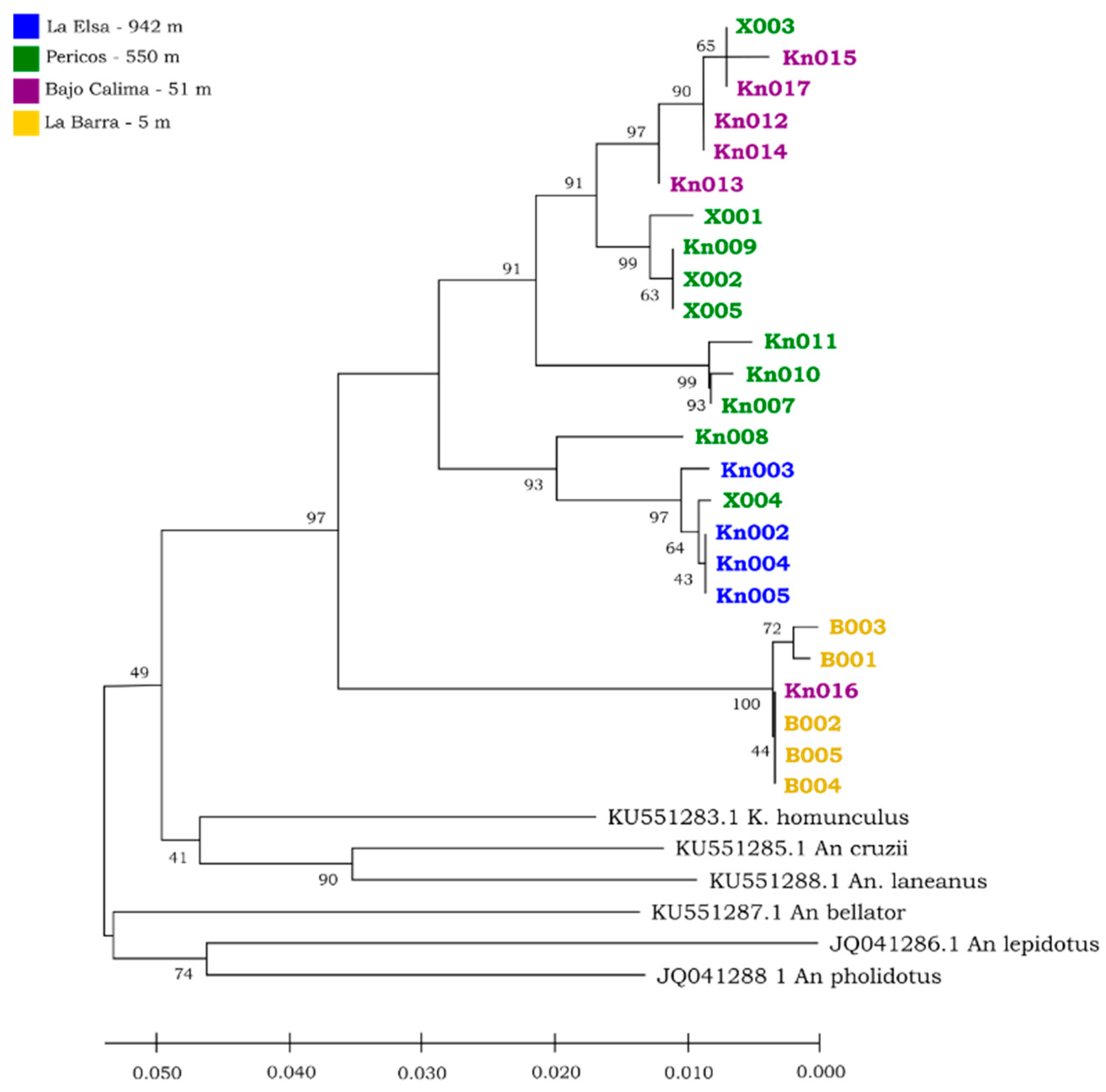 Taxonomy 05 00048 g008