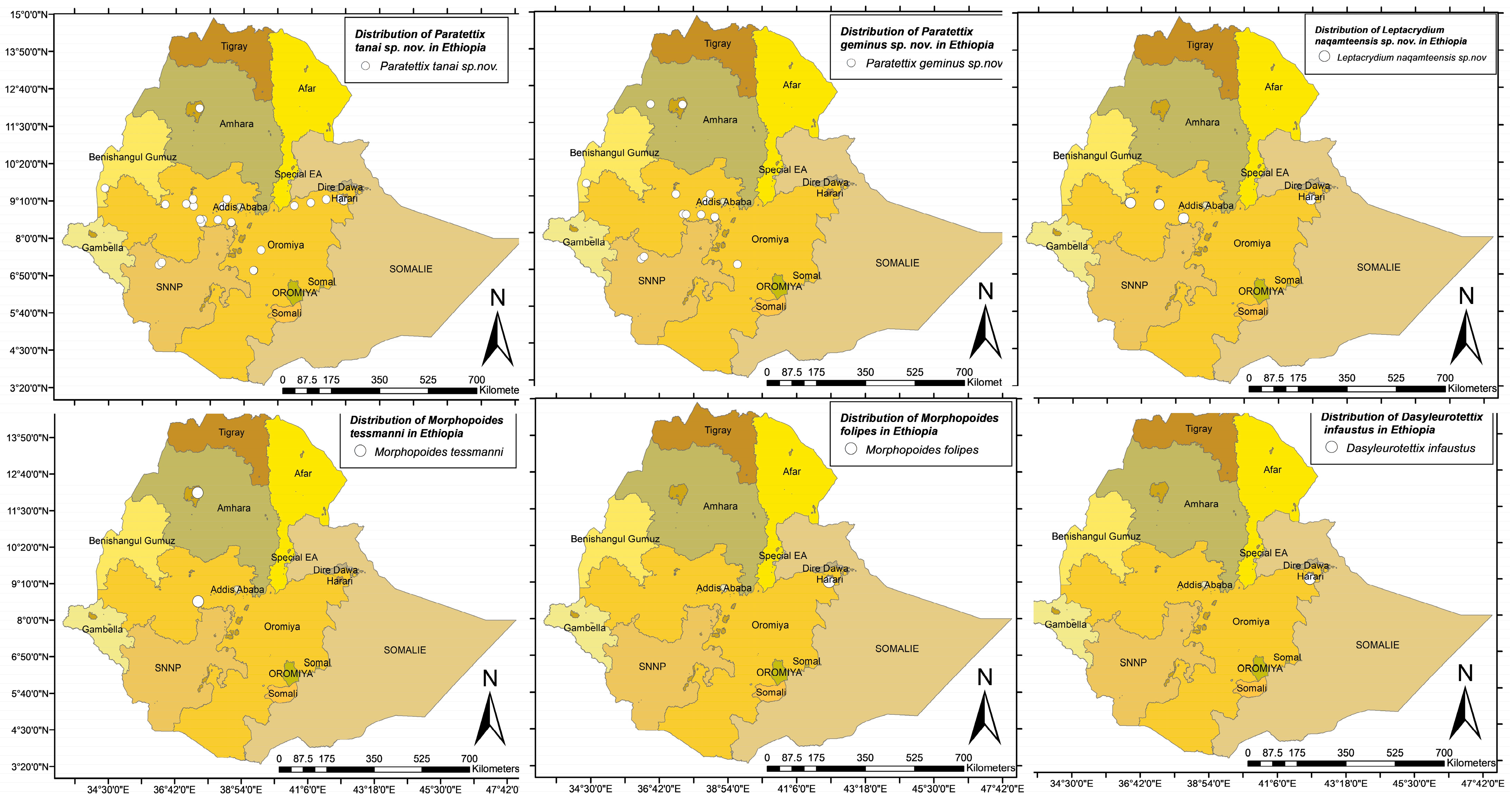 Taxonomy 05 00049 g001 Taxonomy 05 00049 g001