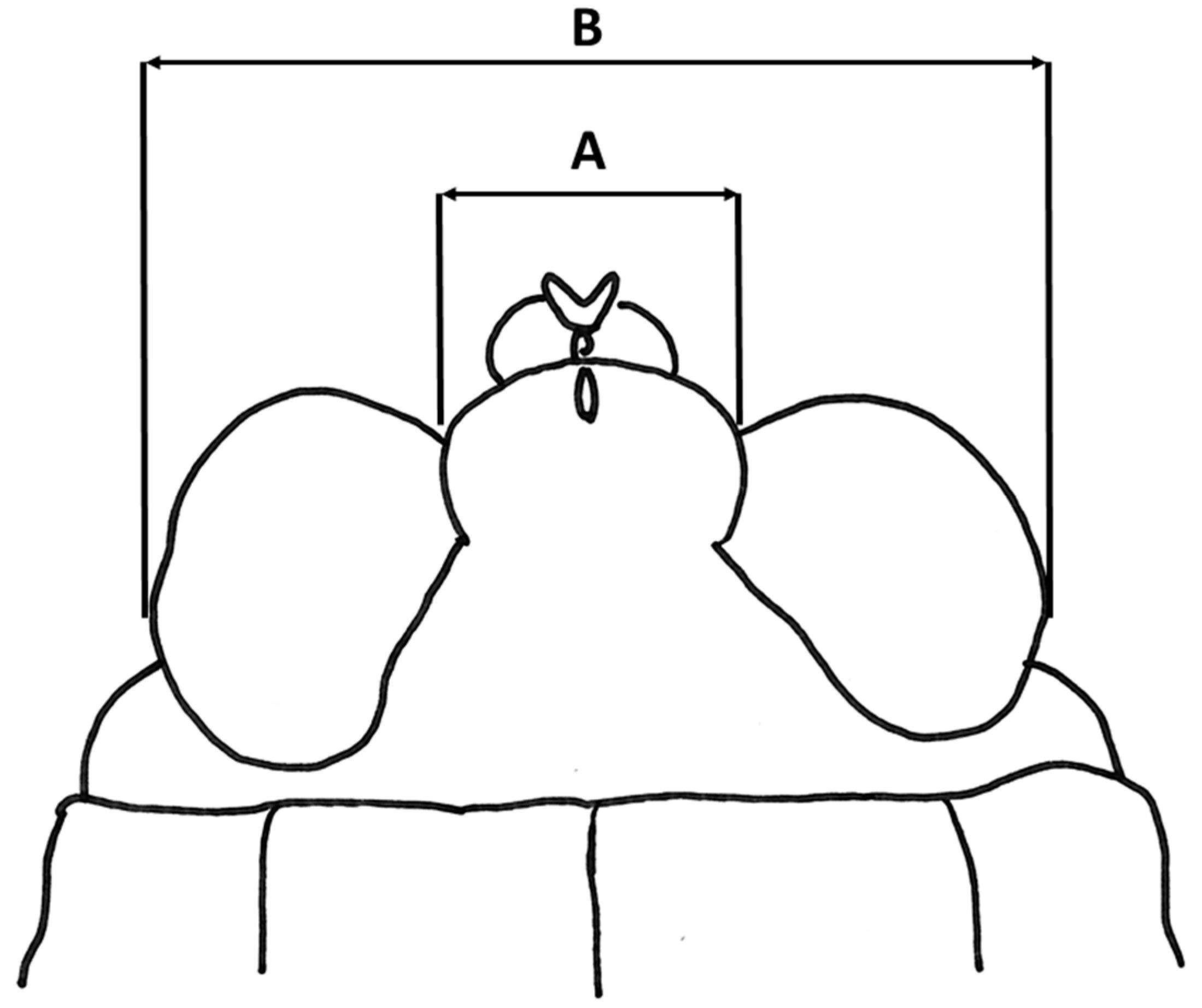 Taxonomy 05 00049 g002 Taxonomy 05 00049 g002