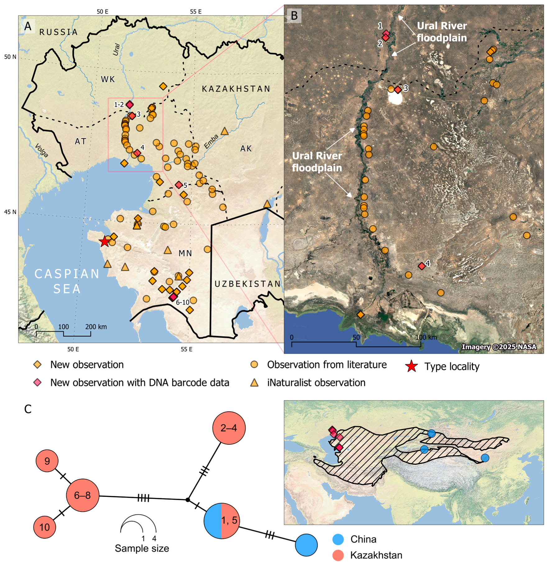 Taxonomy 05 00054 g001